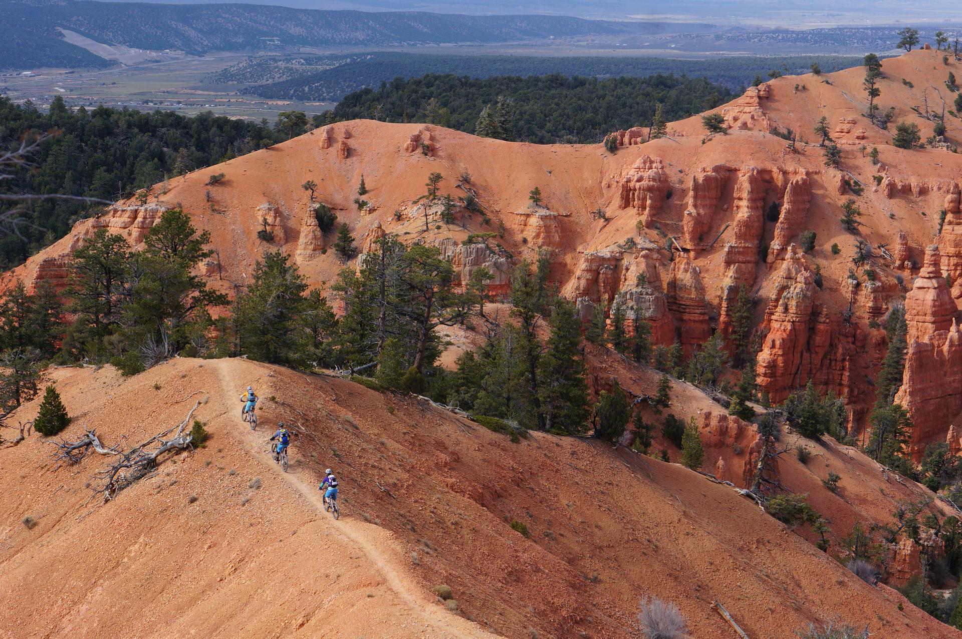 Mountain bikers on a narrow dirt trail along red rock formations under bright daylight.