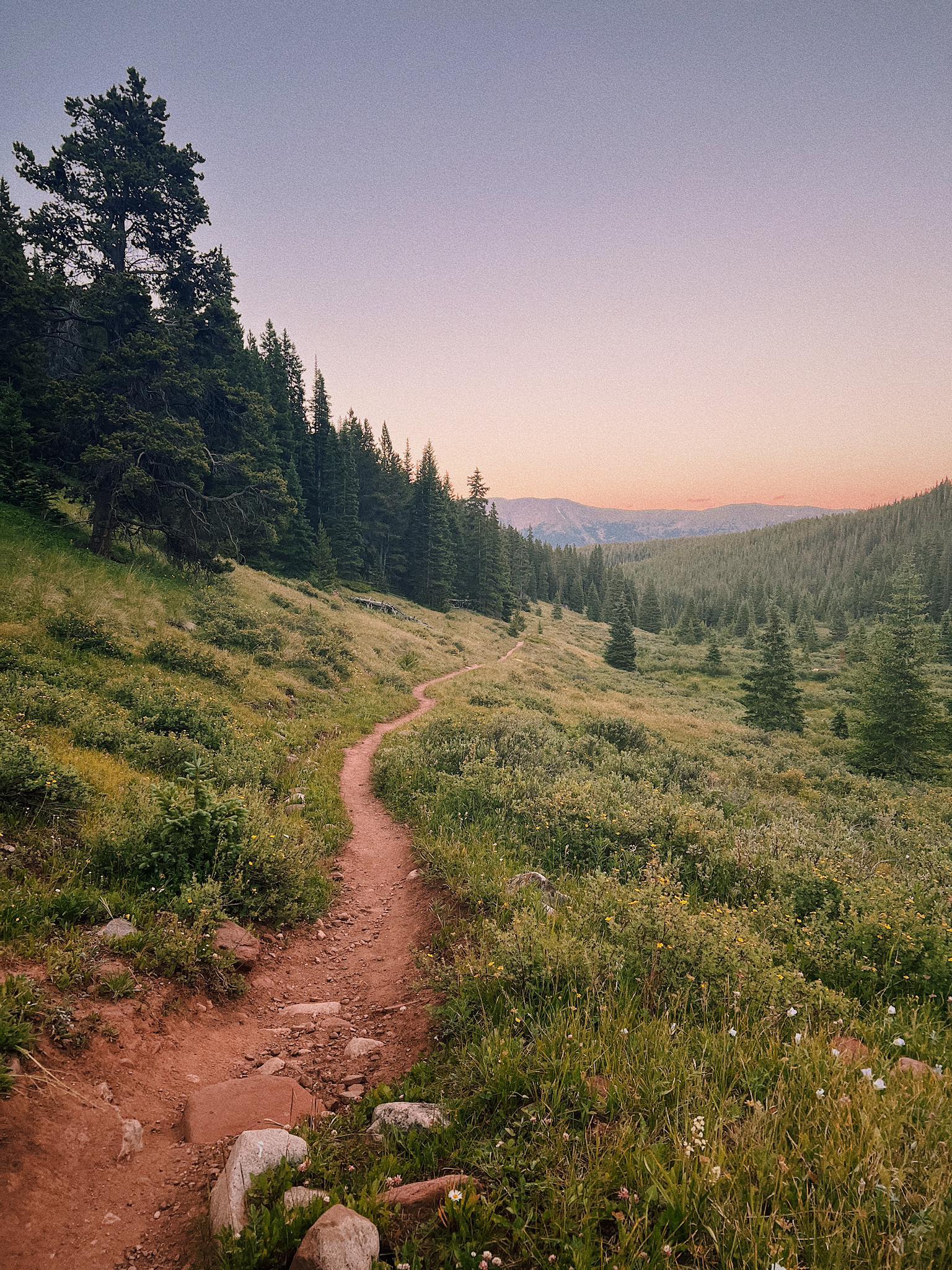 A winding dirt path through a grassy hillside and evergreen forest under a soft sky.