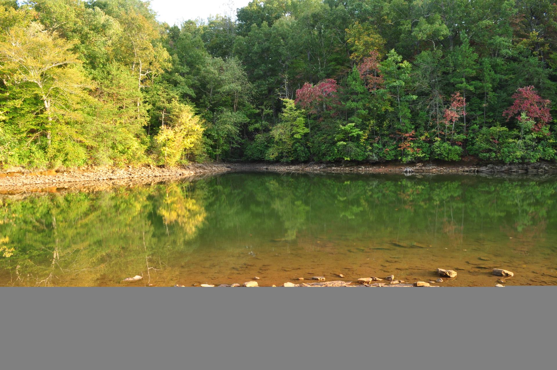 Calm green water reflecting a dense forest with autumn colors.