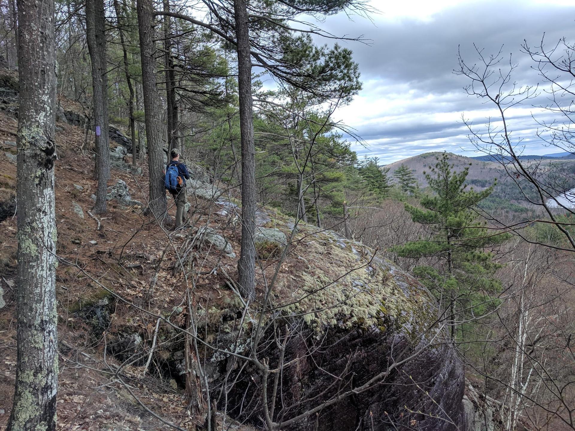A hiker walks a rocky, forested trail overlooking distant mountains under cloudy skies.