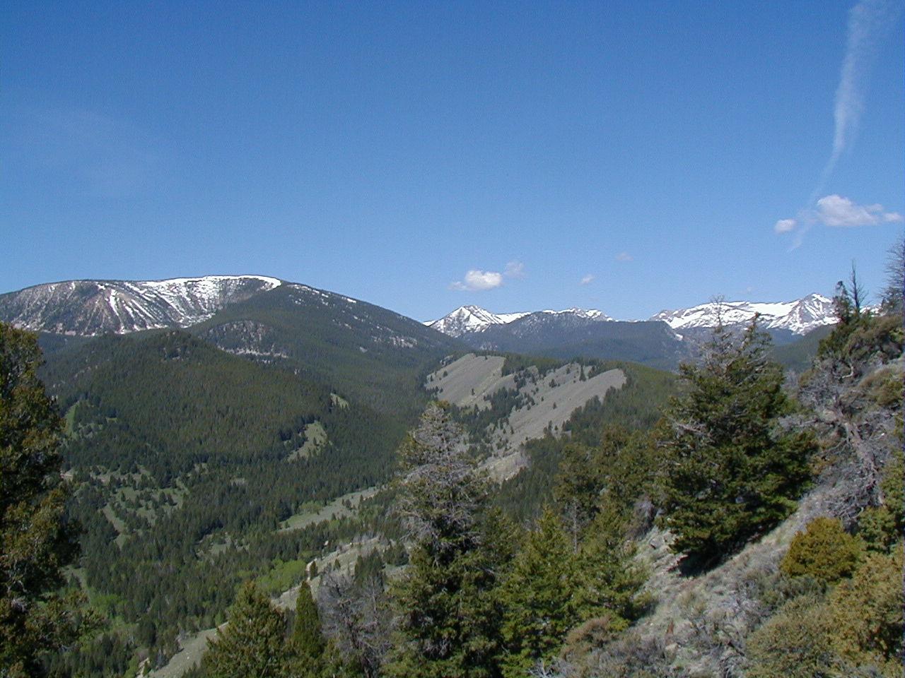 Vast mountain landscape with snow-capped peaks, dense forests, and clear blue sky.