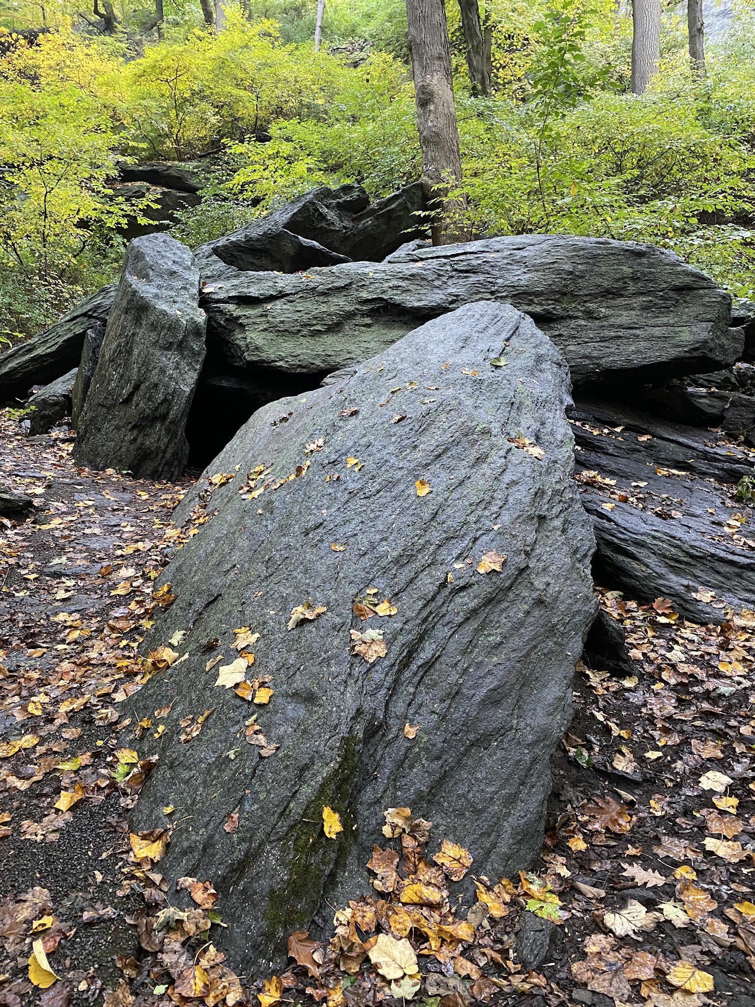 Large dark rocks covered in autumn leaves on a forest floor.