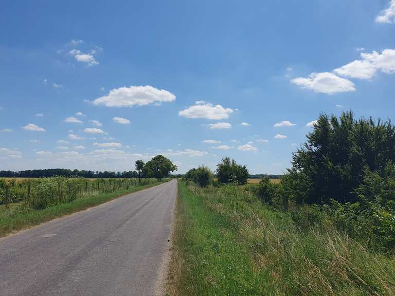 Kirche in Dyjakovice (GroßTajax) Radtouren und Radwege komoot