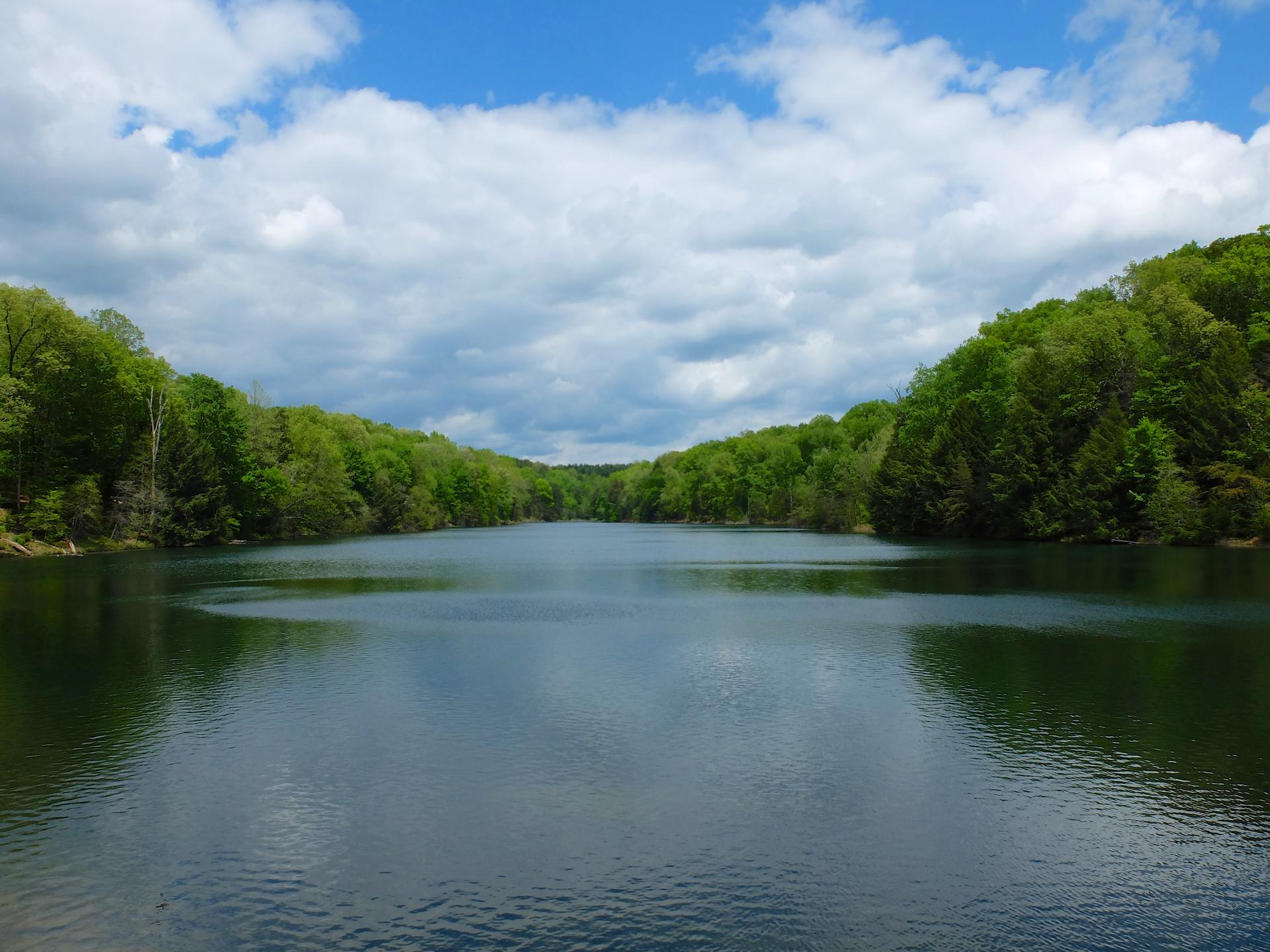 Wide view of a serene lake flanked by dense green forests.