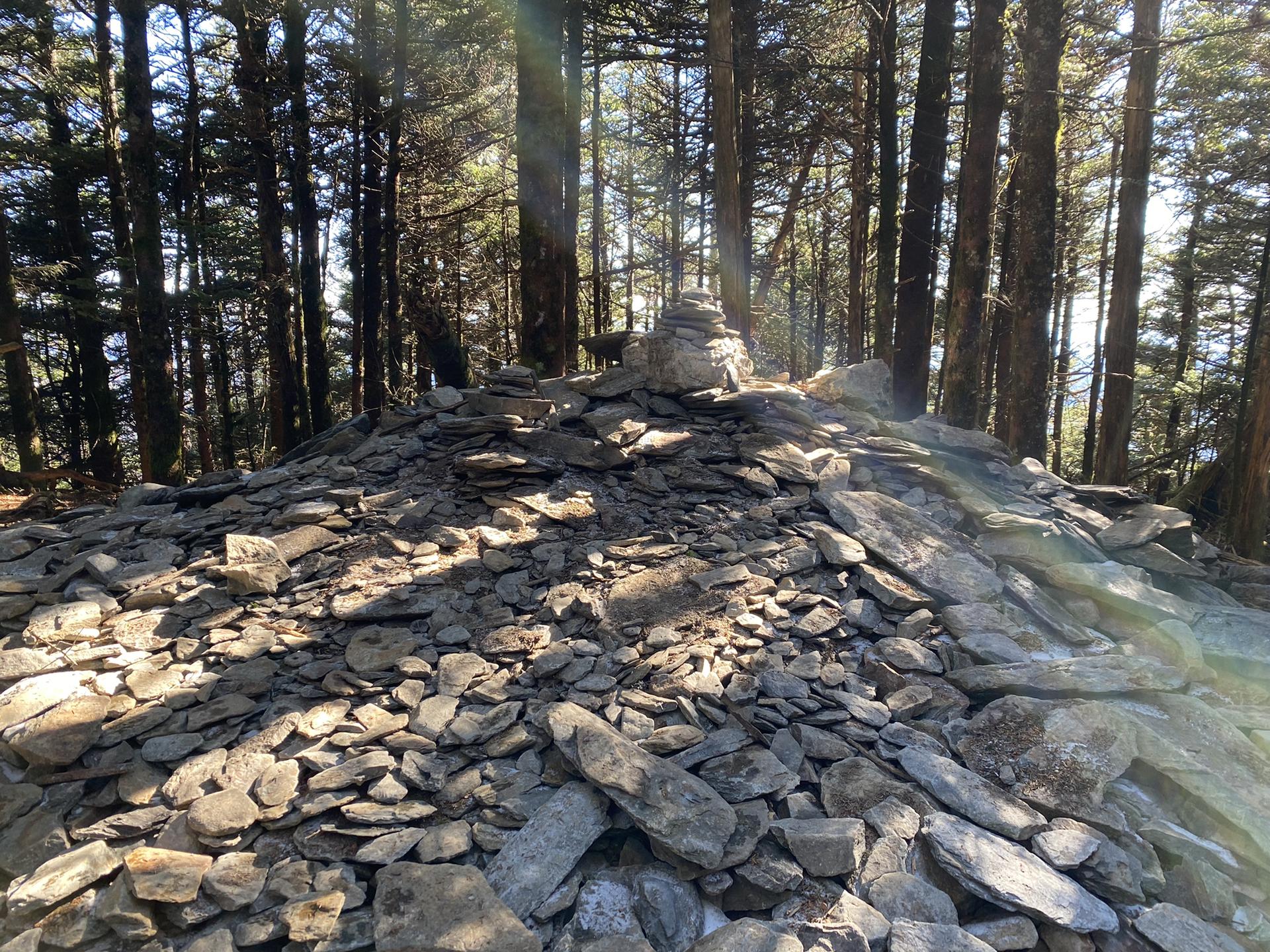 Large rock cairn in a sun-dappled, dense forest.