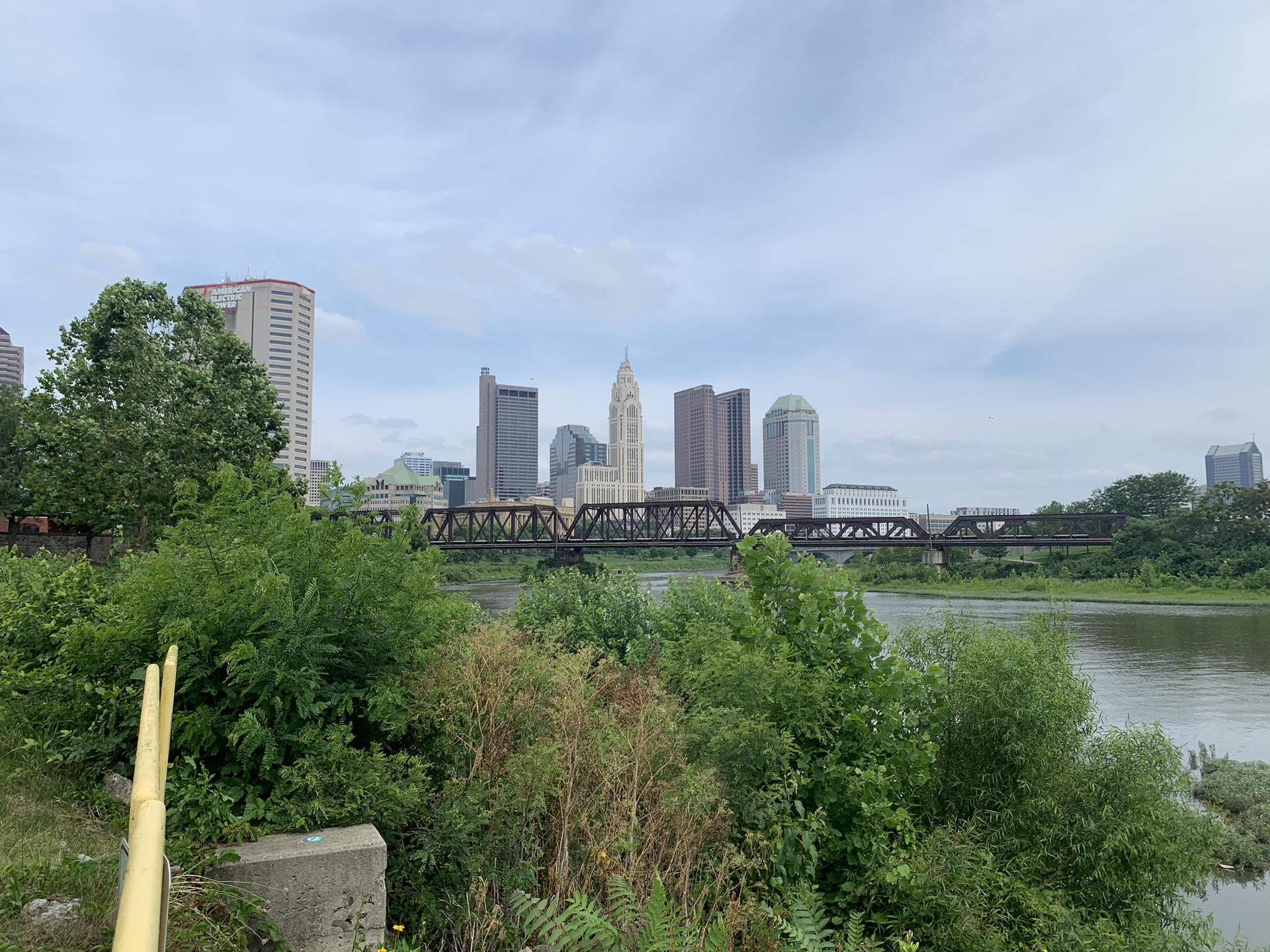 City skyline with a bridge over a river, seen through green foliage. Overcast.