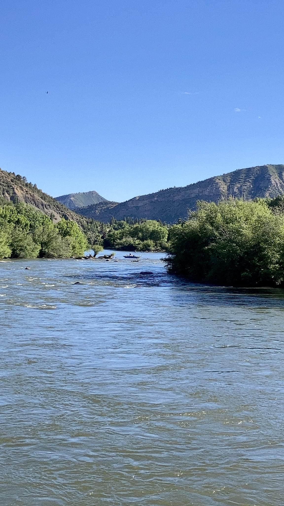 A wide river flows through a green valley with mountains under a clear sky. - Animas River Trail Loop