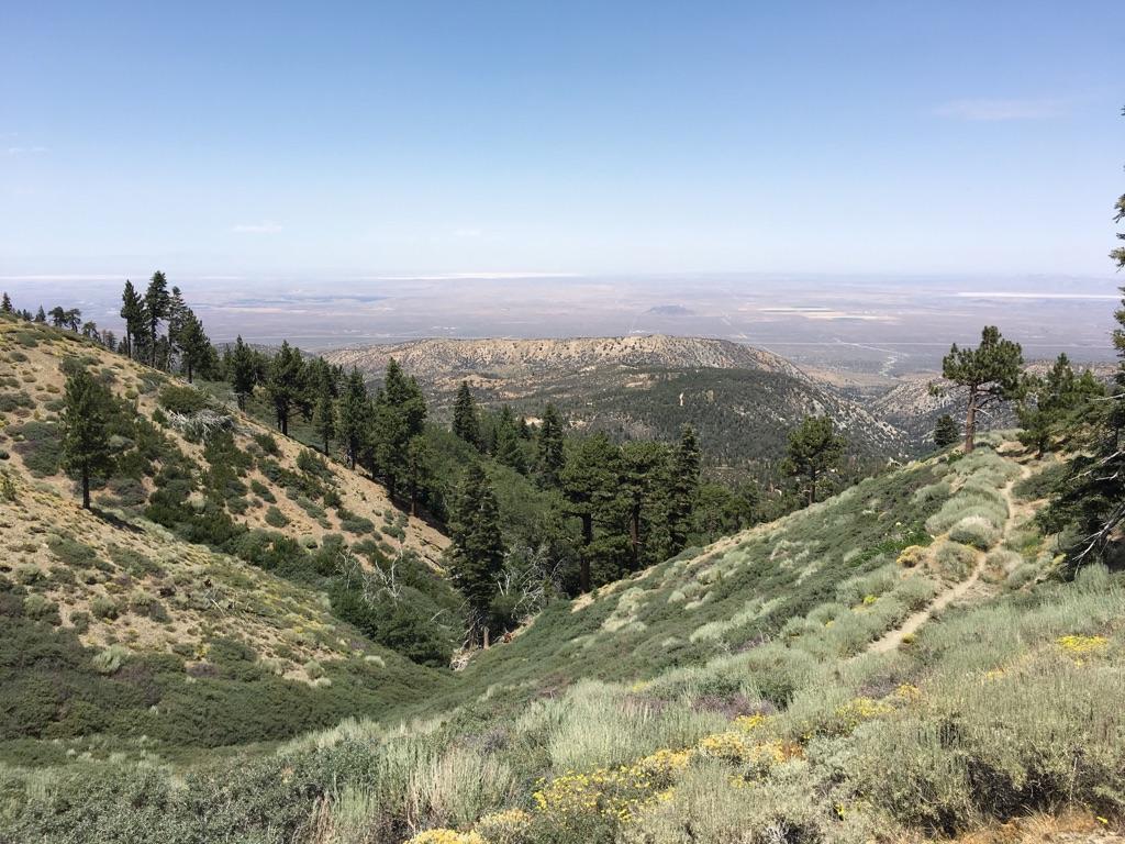 A vast valley with forested hills and a distant plain under bright sun.