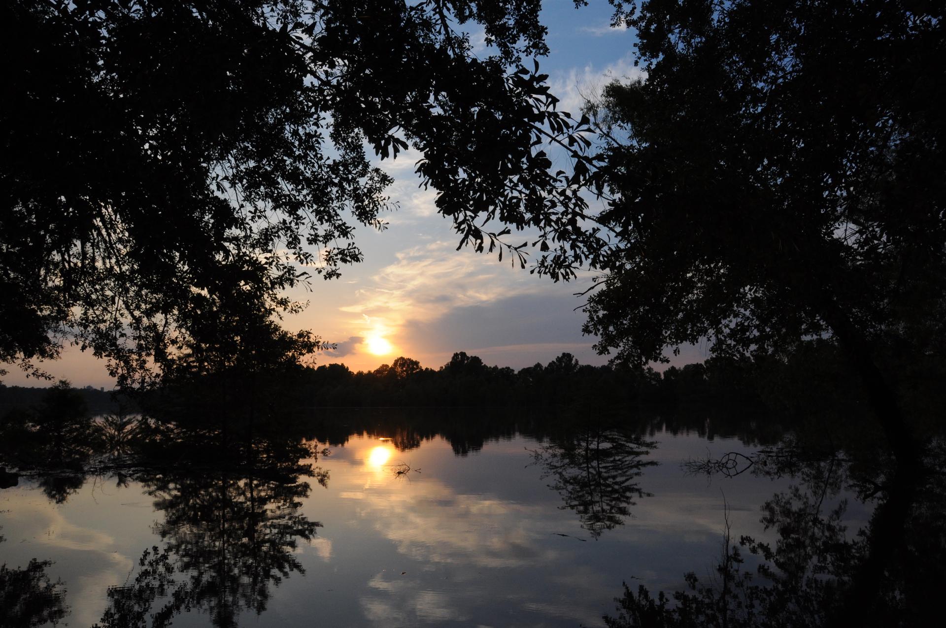 Golden sunset over calm water, framed by dark tree silhouettes.