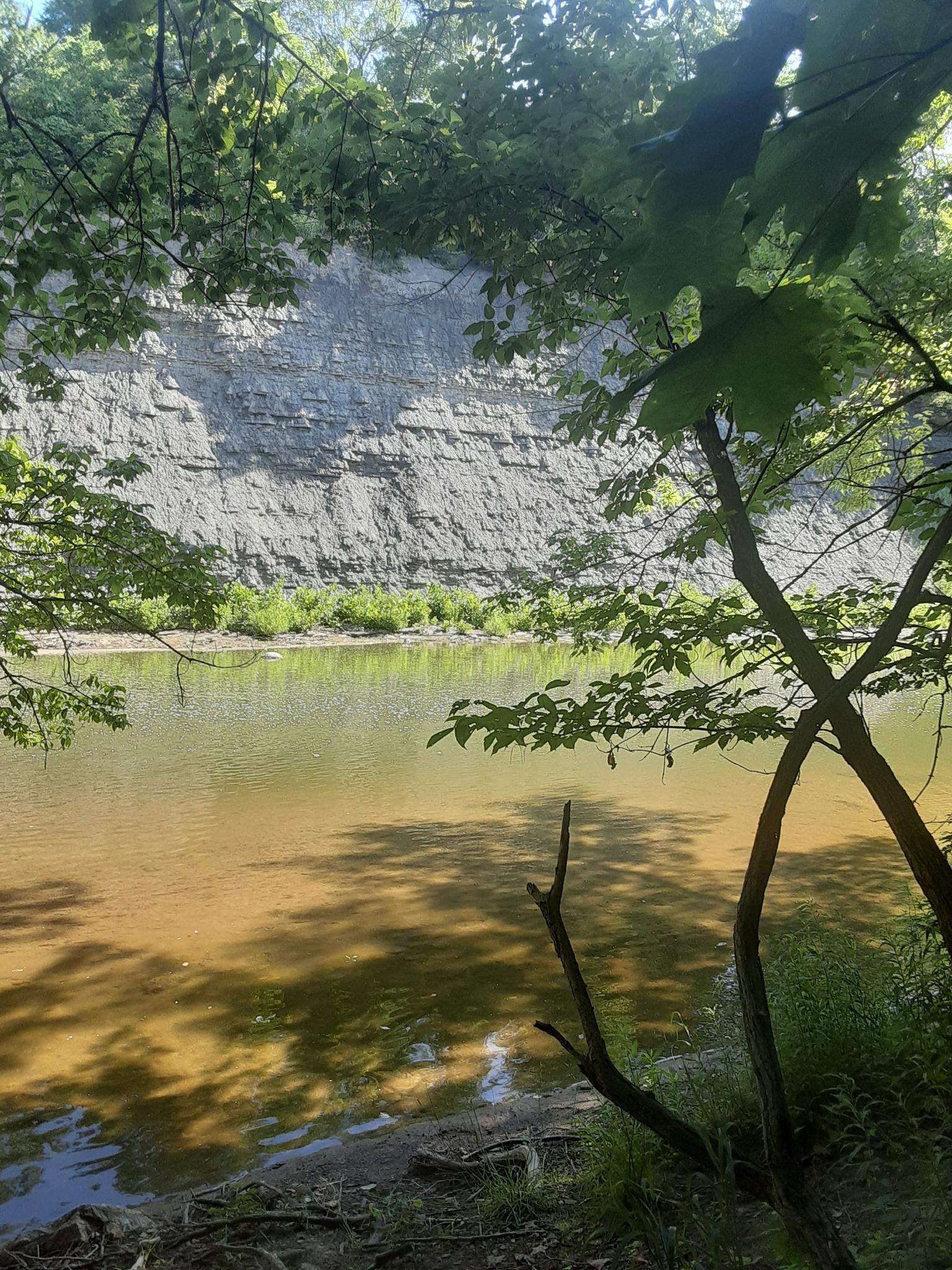 Sunny river view with a tall rock cliff and green overhanging trees.