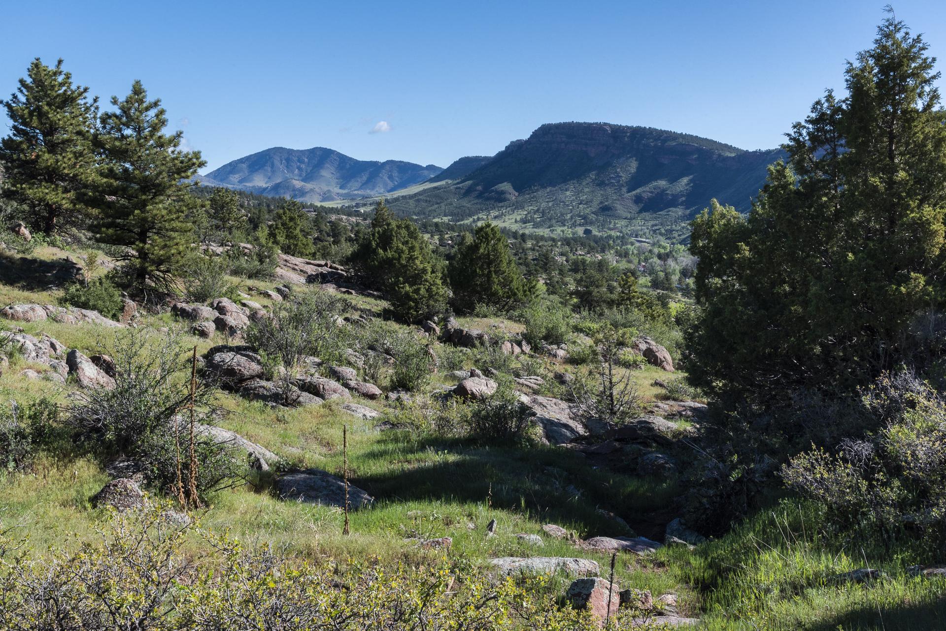 Sunny, rocky hillside with scattered trees and distant mountains under a clear sky.