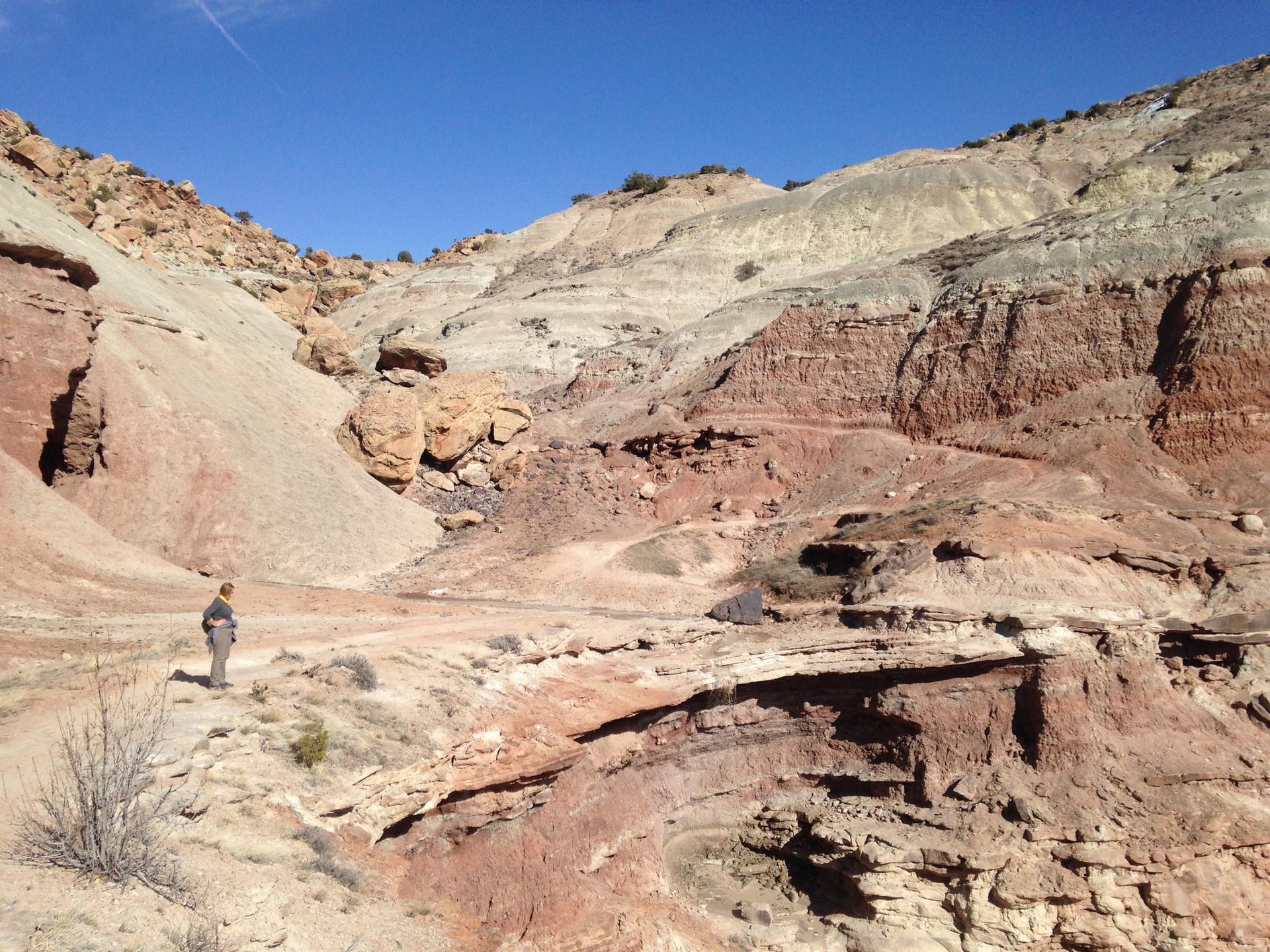 Person stands admiring vast, colorful layered rock formations under a clear sky.