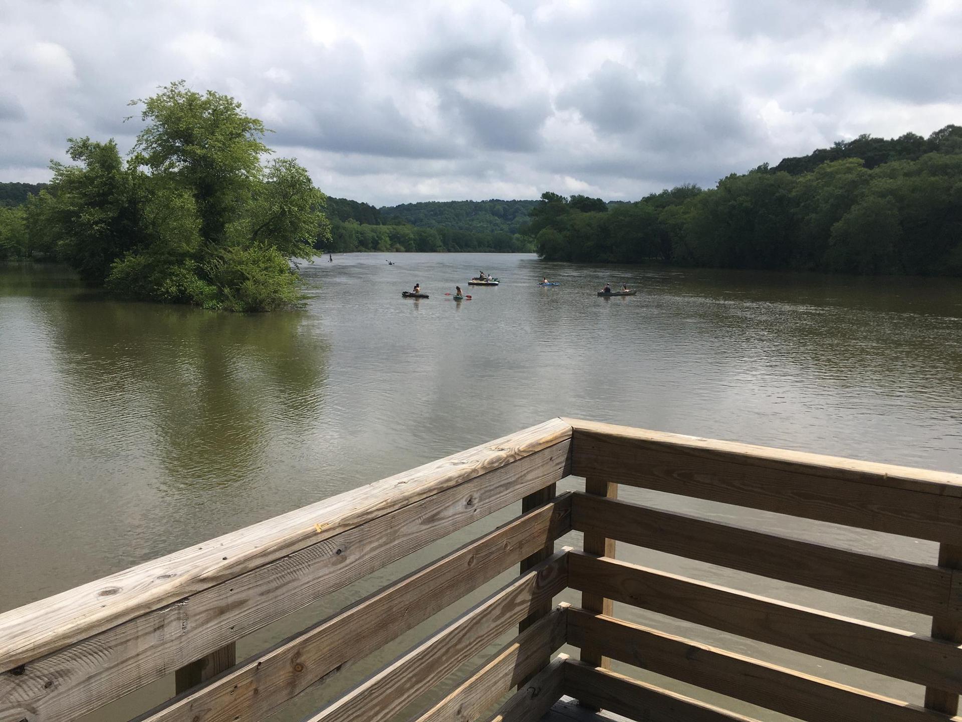 View from a wooden deck of kayakers on a wide river with forested banks.