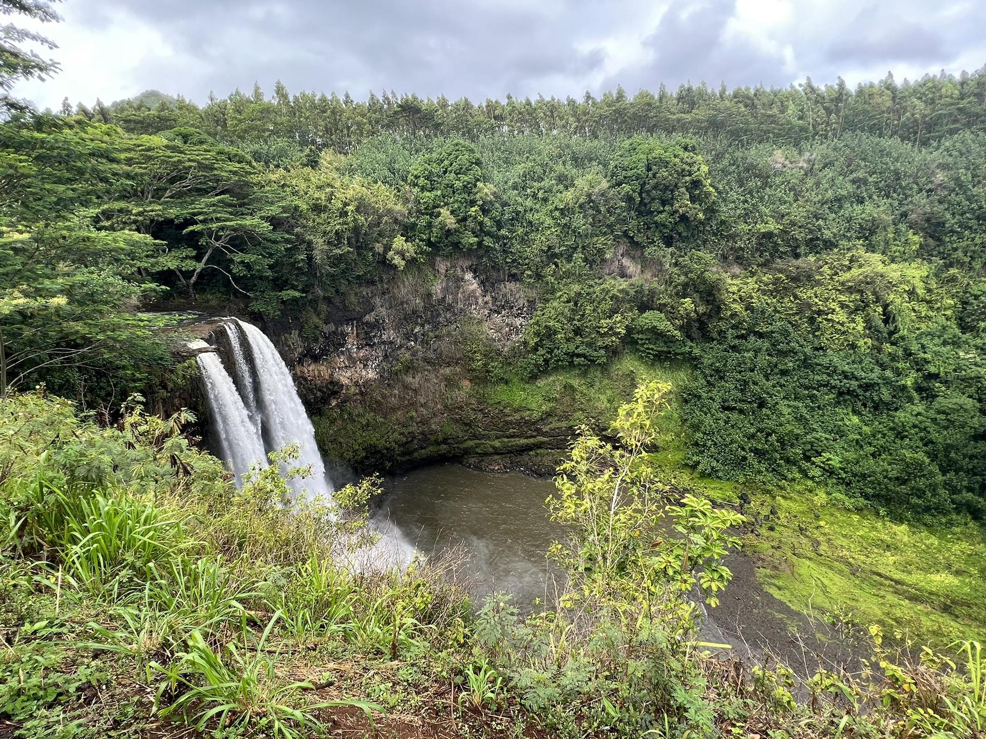 A double waterfall cascades into a pool amidst dense green foliage.