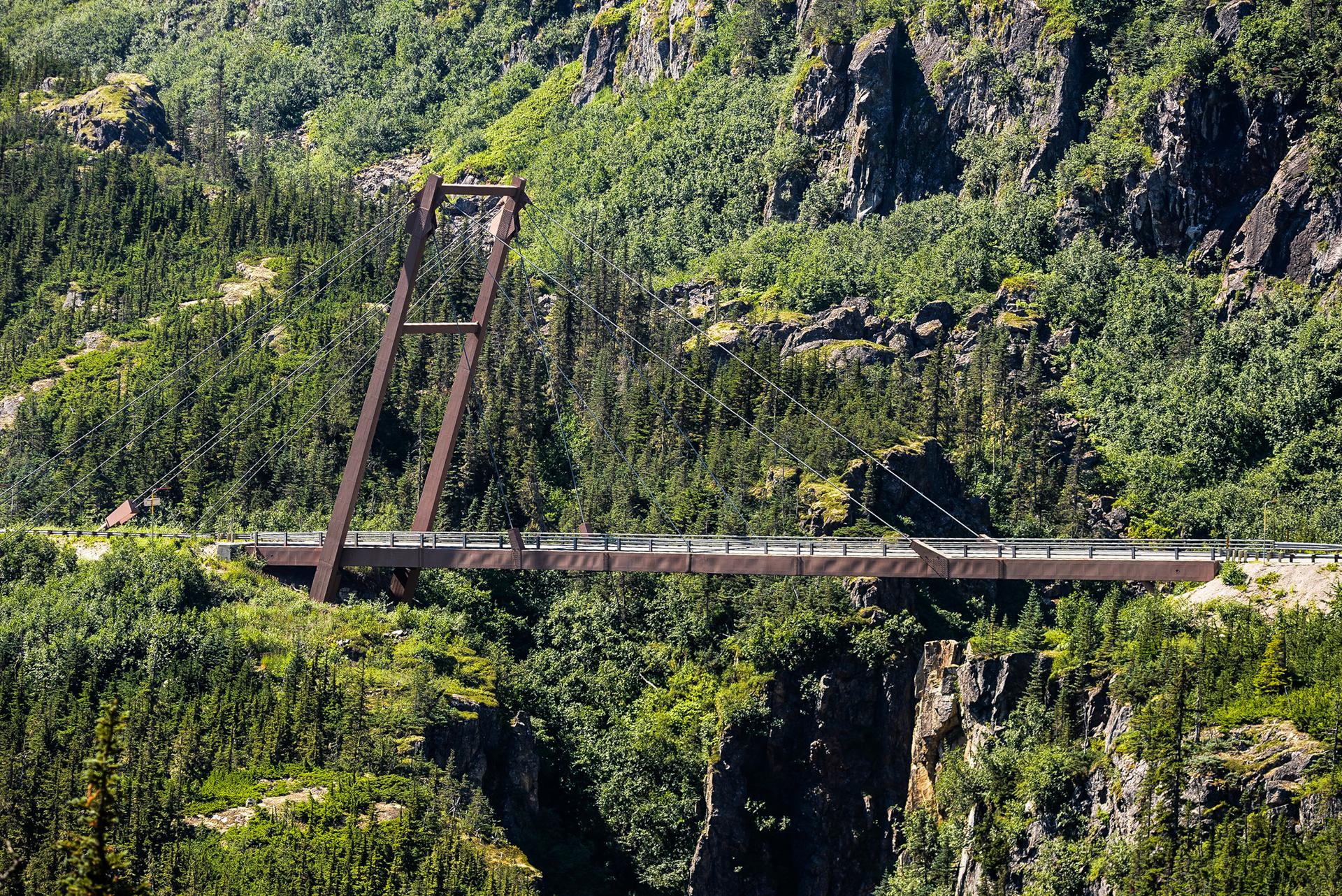 Modern suspension bridge spans a deep, forested gorge under bright sunlight.