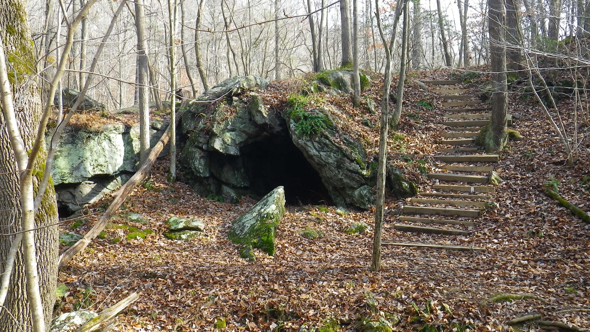 A dark cave entrance in a rocky forest with wooden stairs leading up.
