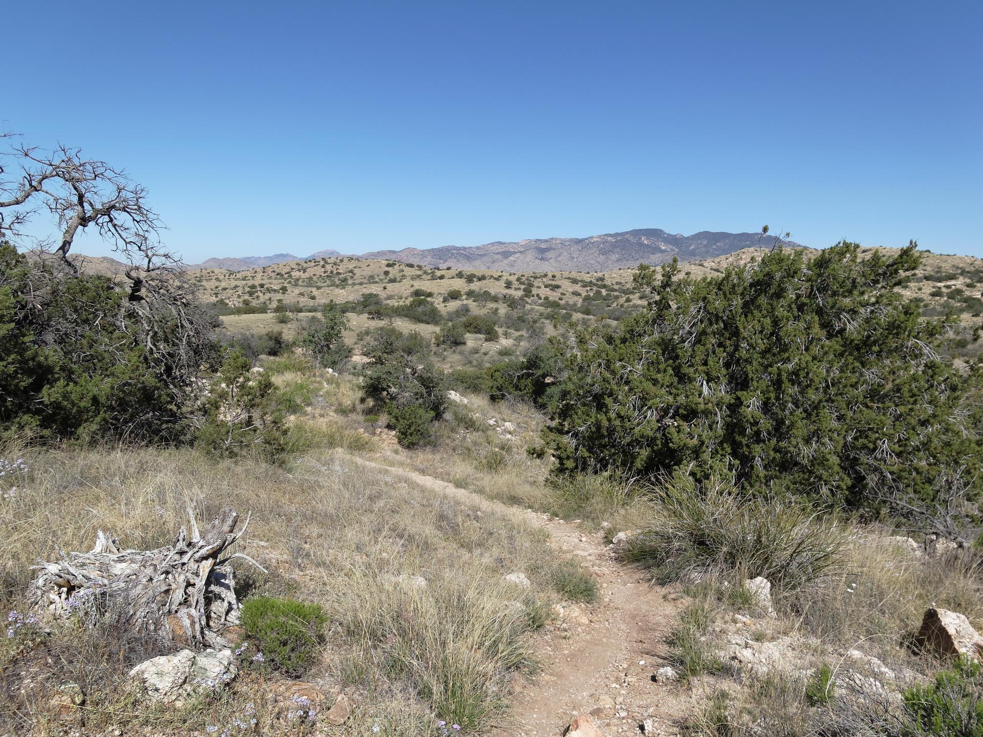 A dirt path winds through dry, sunny hills with sparse vegetation and distant mountains.