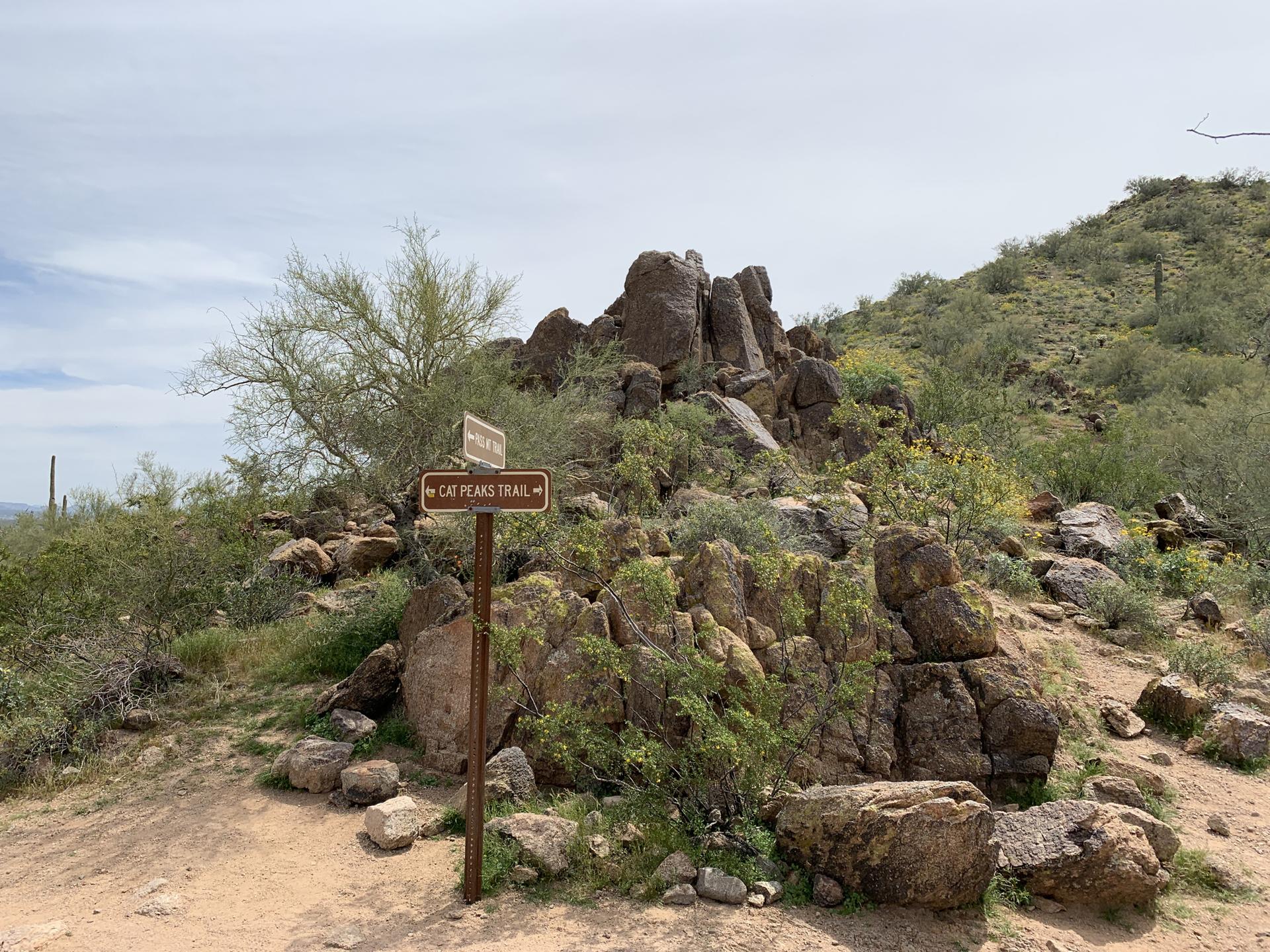 Trail signpost at a rocky desert intersection under an overcast sky.
