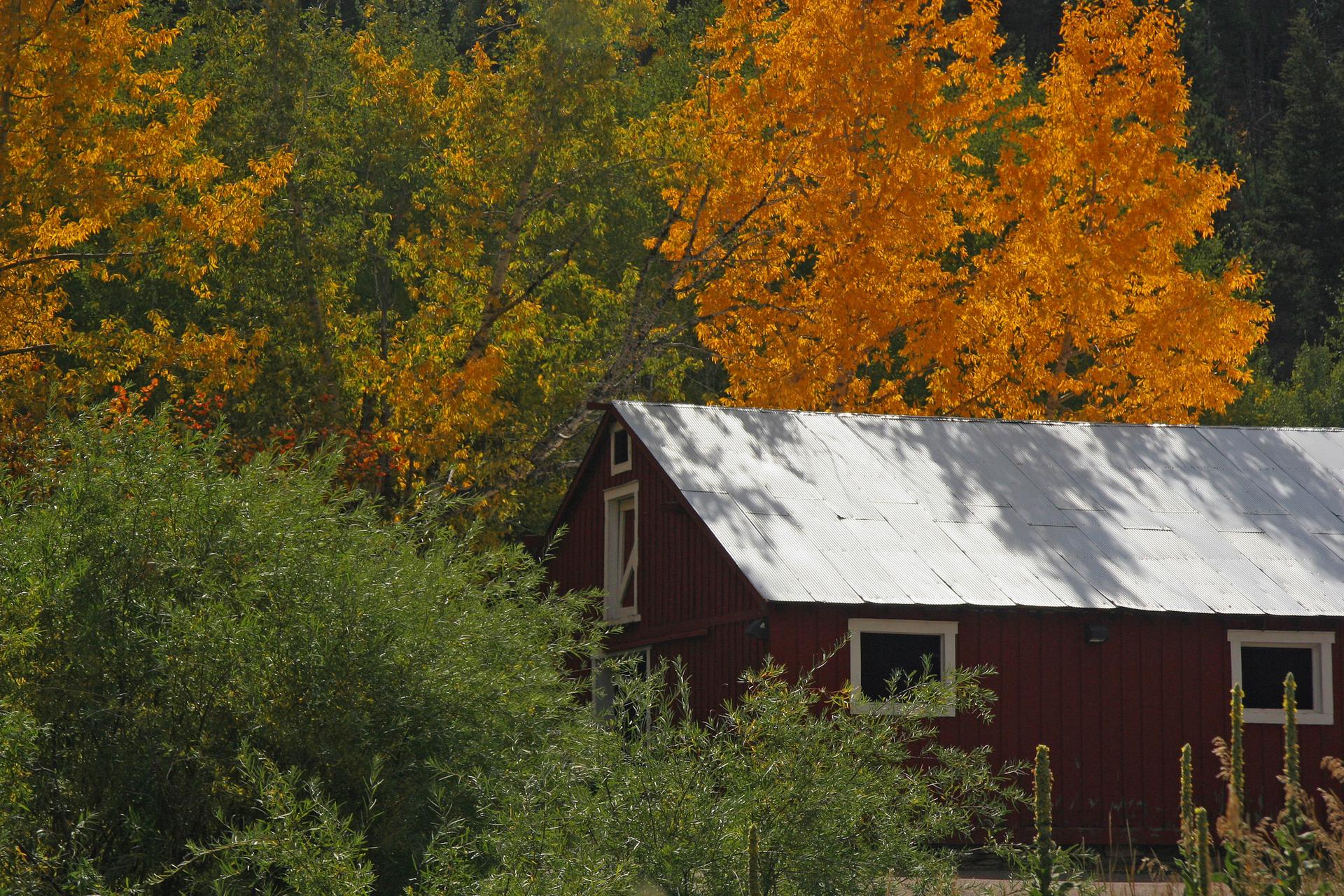 Red barn nestled among vibrant autumn trees under bright sunlight.