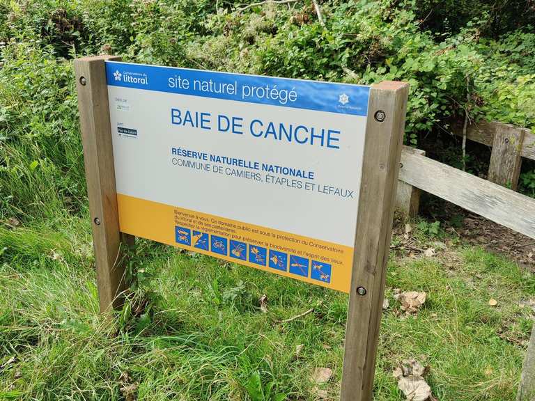 Boucle Montée sous les pins – Embouchure de la Canche au départ de ...