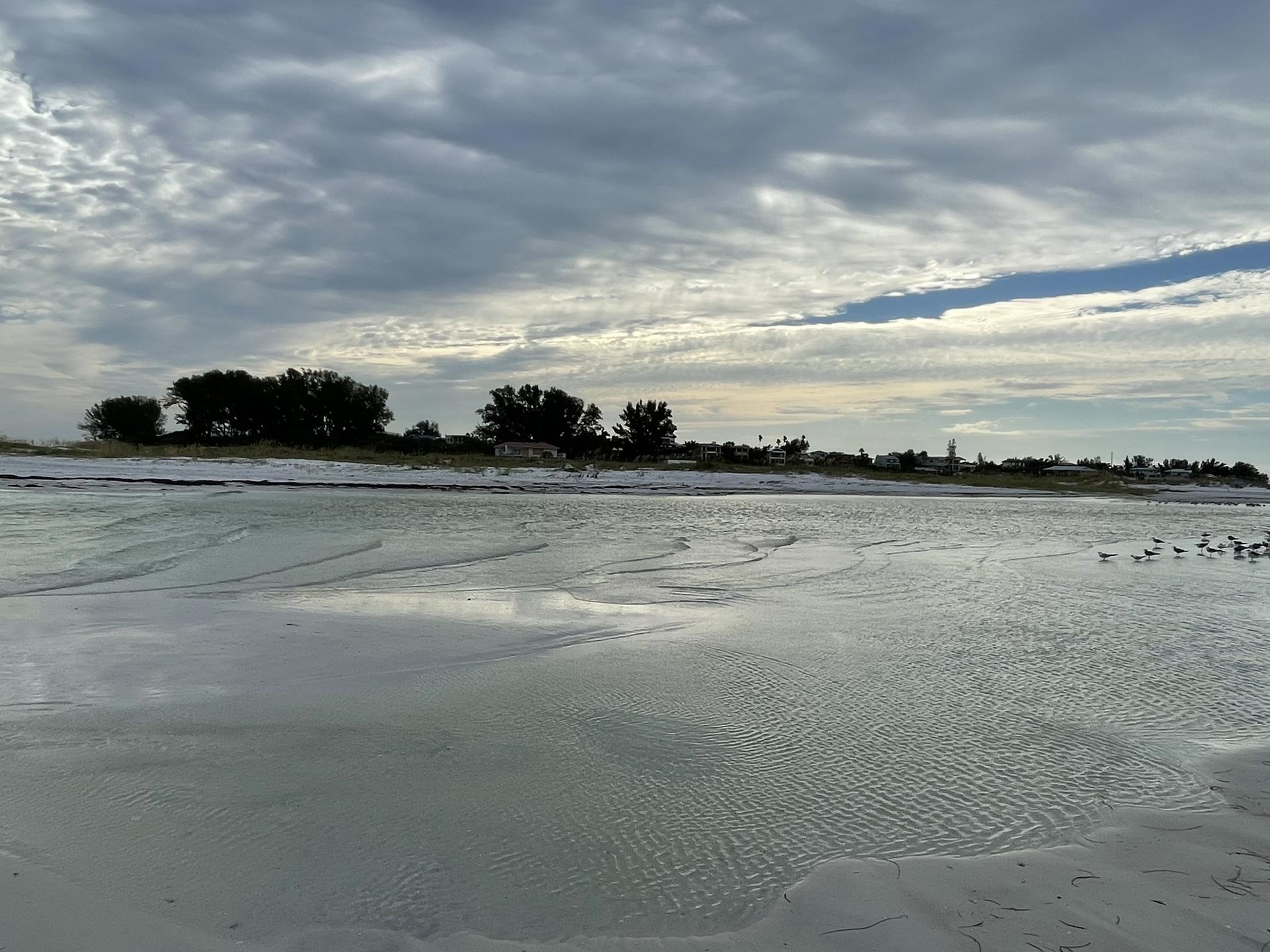 Overcast sky above a wide, wet sandy beach with distant trees.