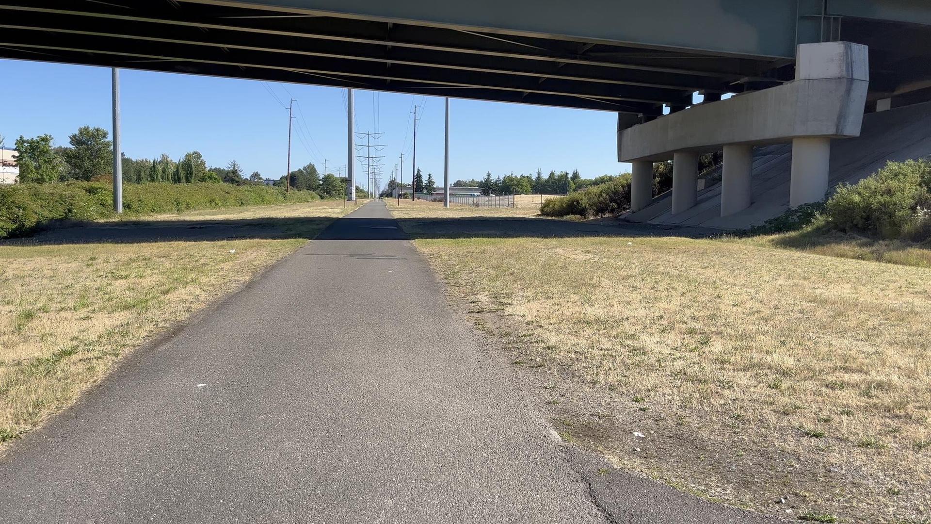 A paved path runs under a large concrete overpass on a sunny day.