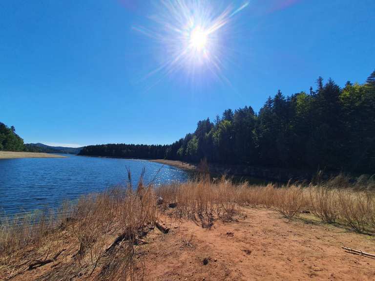 The forest and the lake of Pierre-Percée — loop from Baccarat | bike ...