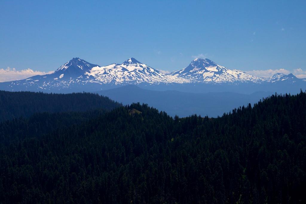 Three snow-capped mountains loom over a dark forest under a clear blue sky.