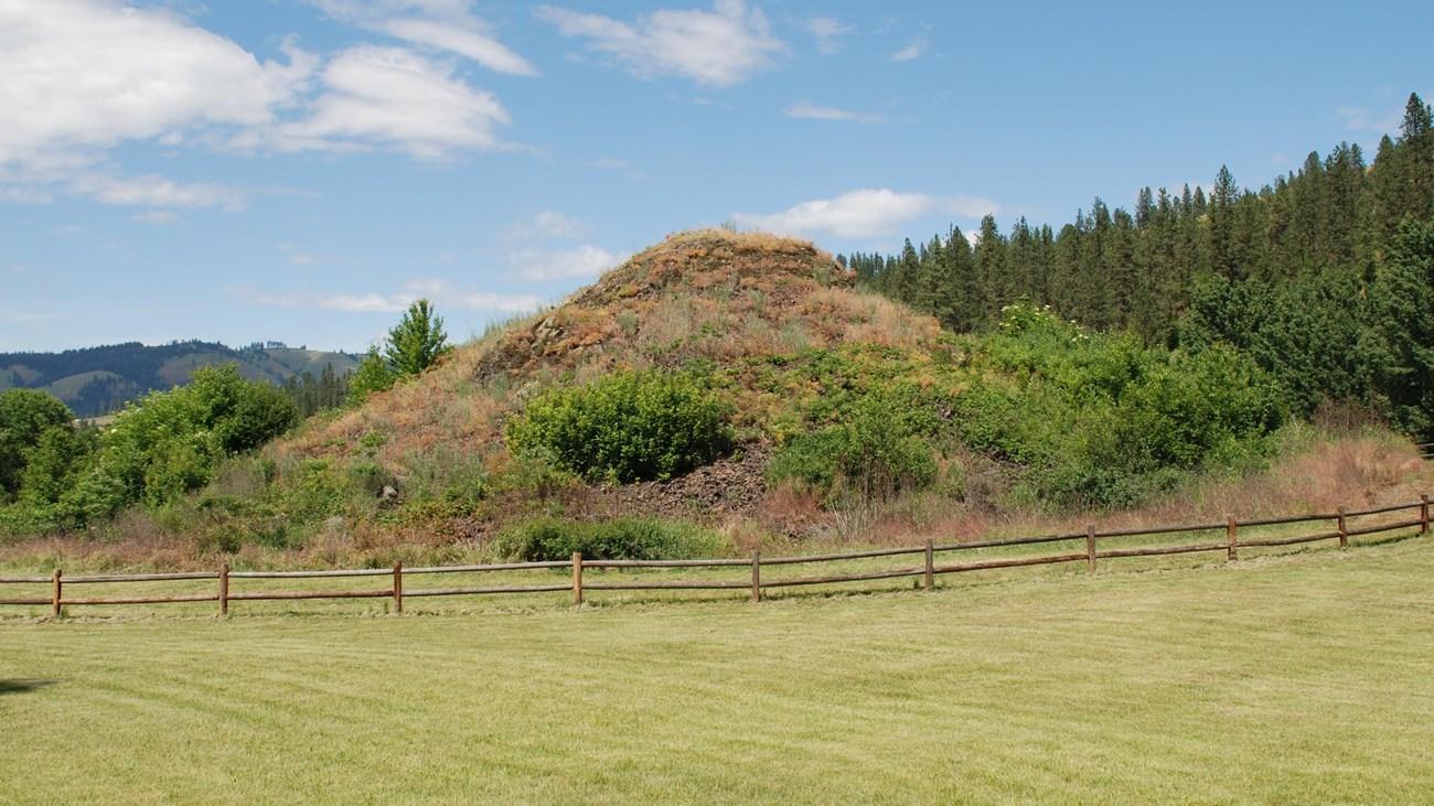 Sunny landscape with a grassy hill, green field, wooden fence, and distant trees.
