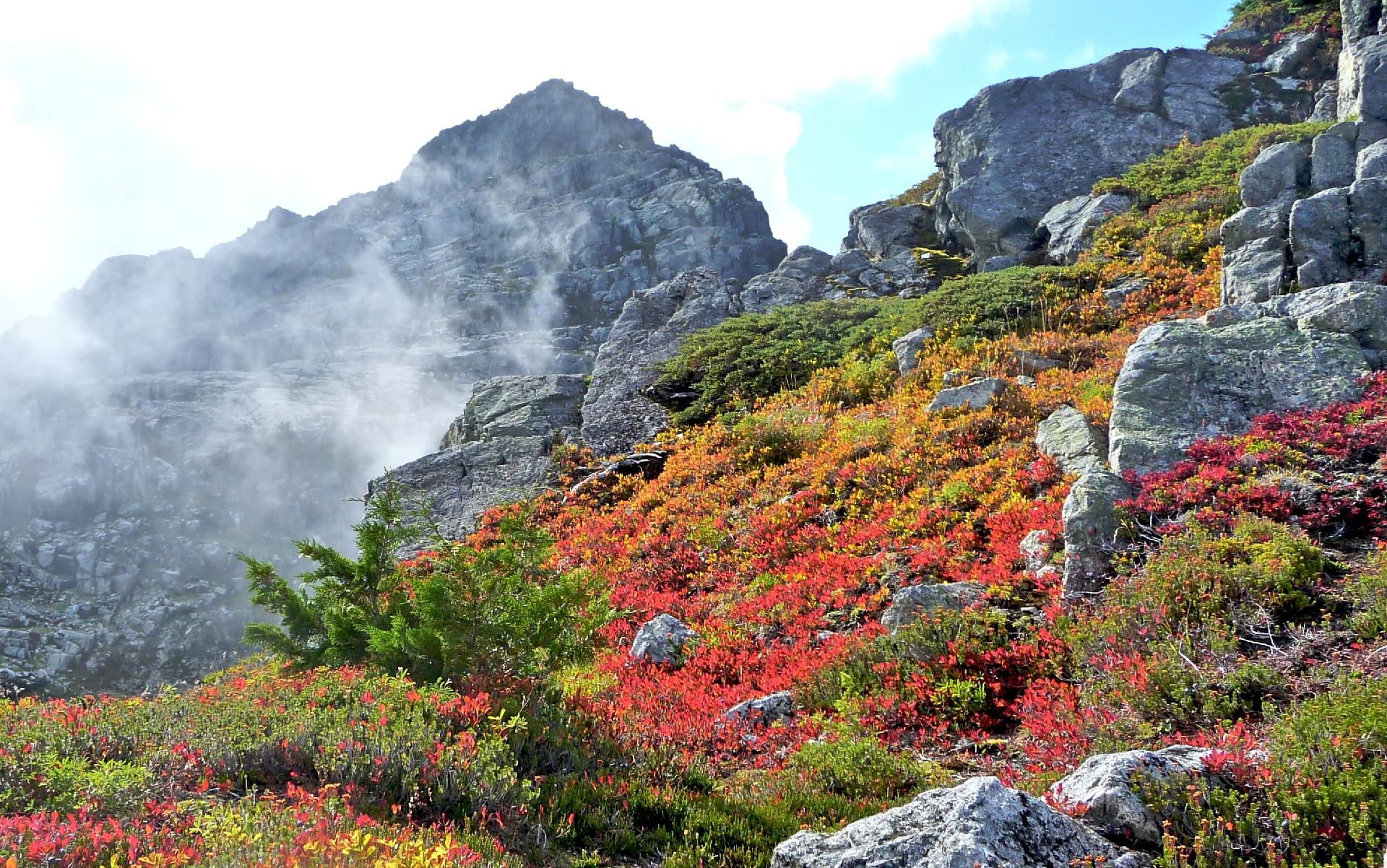 Misty mountain peak overlooks vibrant red and orange autumn foliage on rocky slopes.