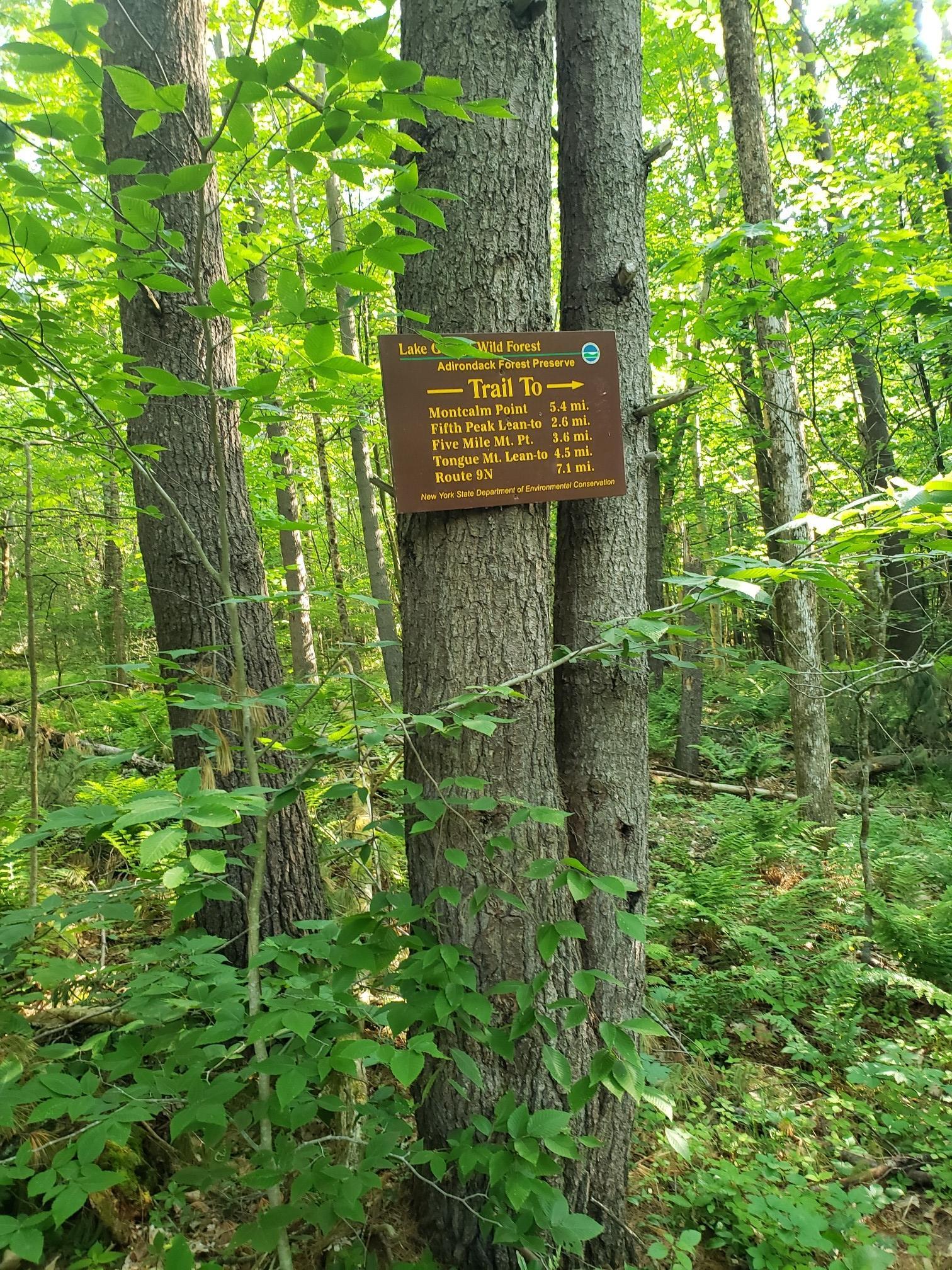 A brown trail sign attached to a tree in a lush green forest.