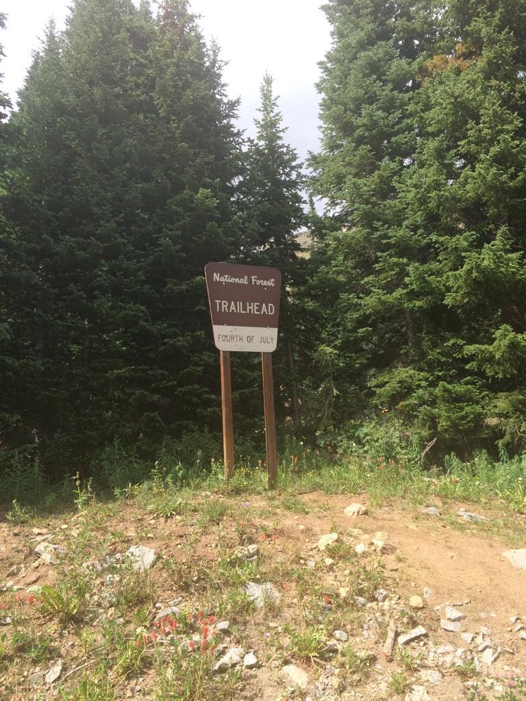 A brown trailhead sign stands on a dirt path surrounded by tall pine trees.