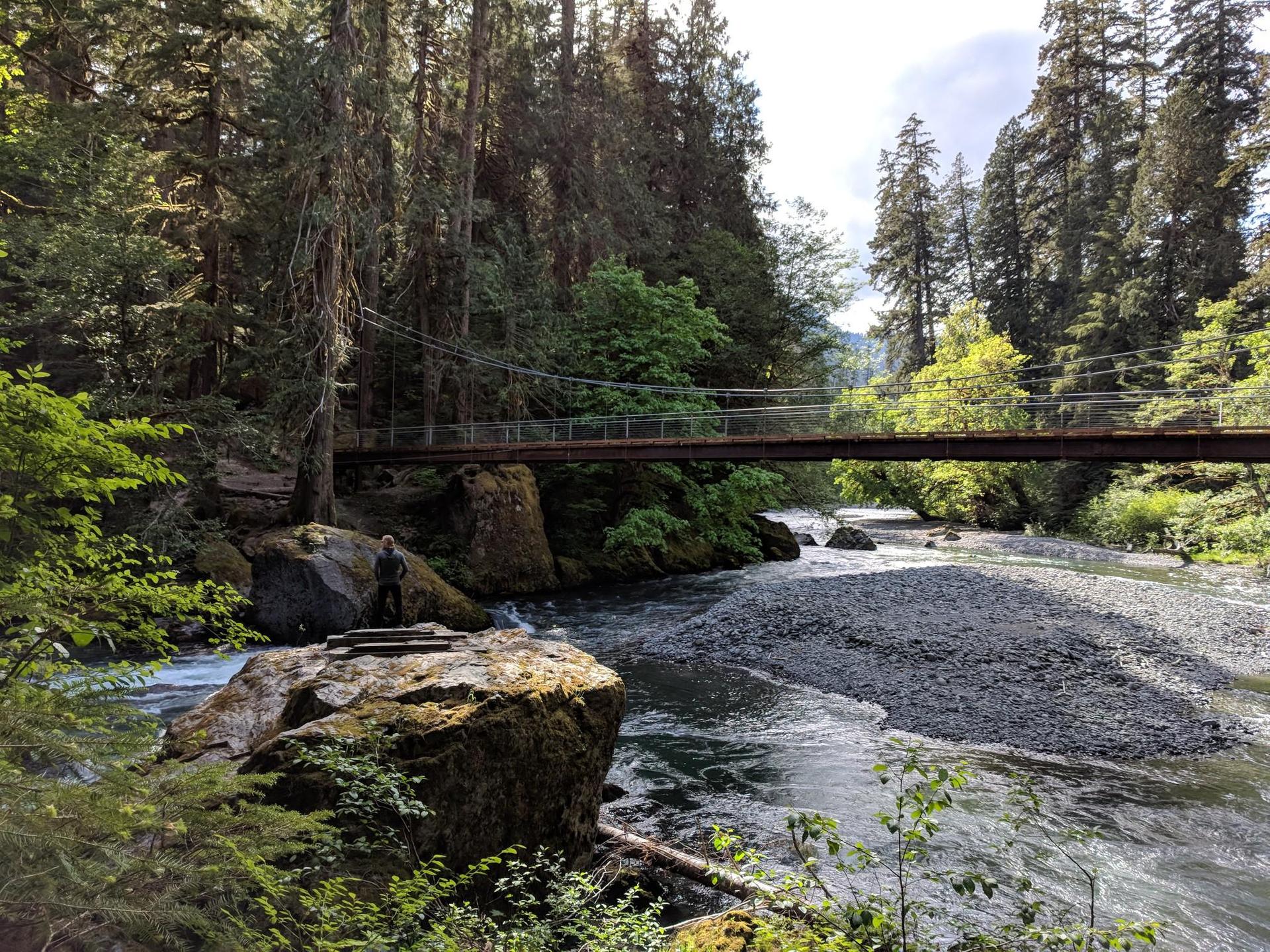 Suspension bridge over a wide river, with a person on a mossy rock.