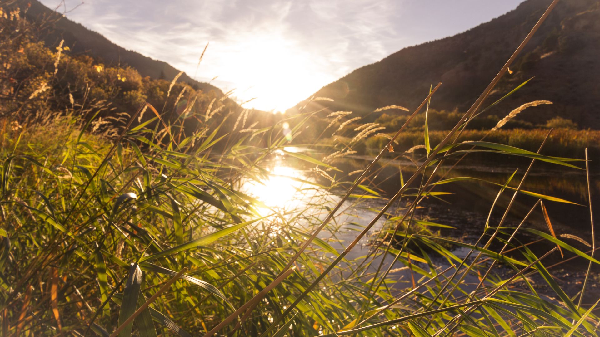 Golden hour sun shines over a river between mountains, seen through tall grass. - Logan River Trail