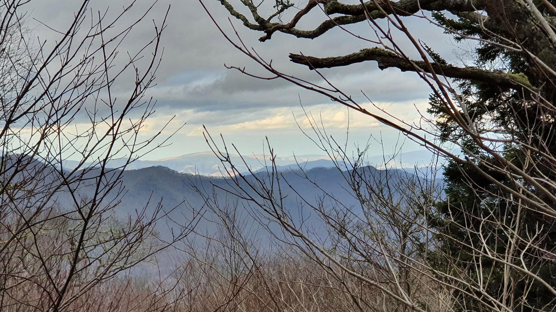 Bare branches frame a view of layered mountains under a cloudy sky.