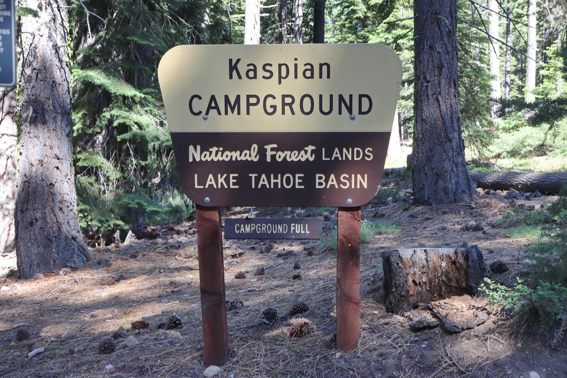 A brown and tan campground sign stands in a sun-dappled forest.