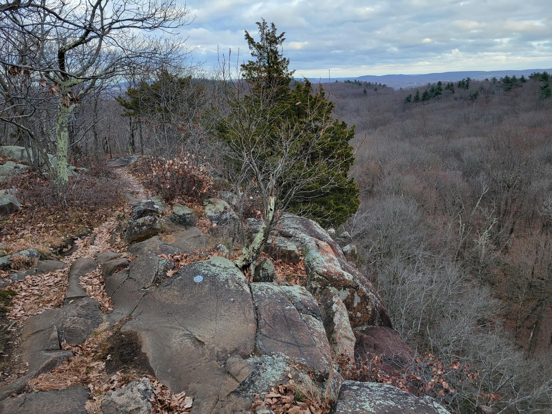 Rocky trail overlooking a vast, bare winter forest under a cloudy sky.
