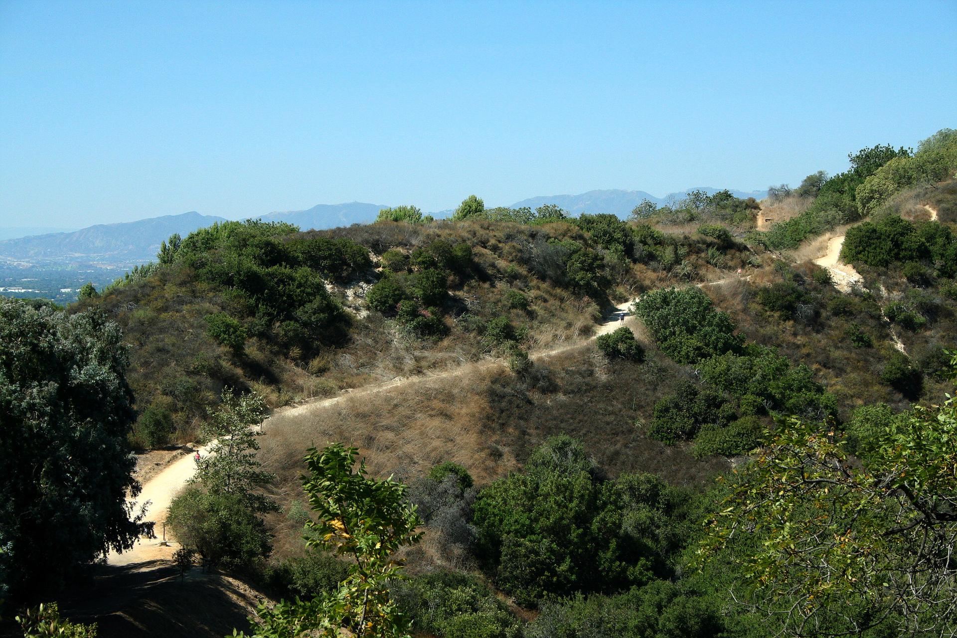 Winding dirt trail ascending a dry, brush-covered hillside on a sunny day.