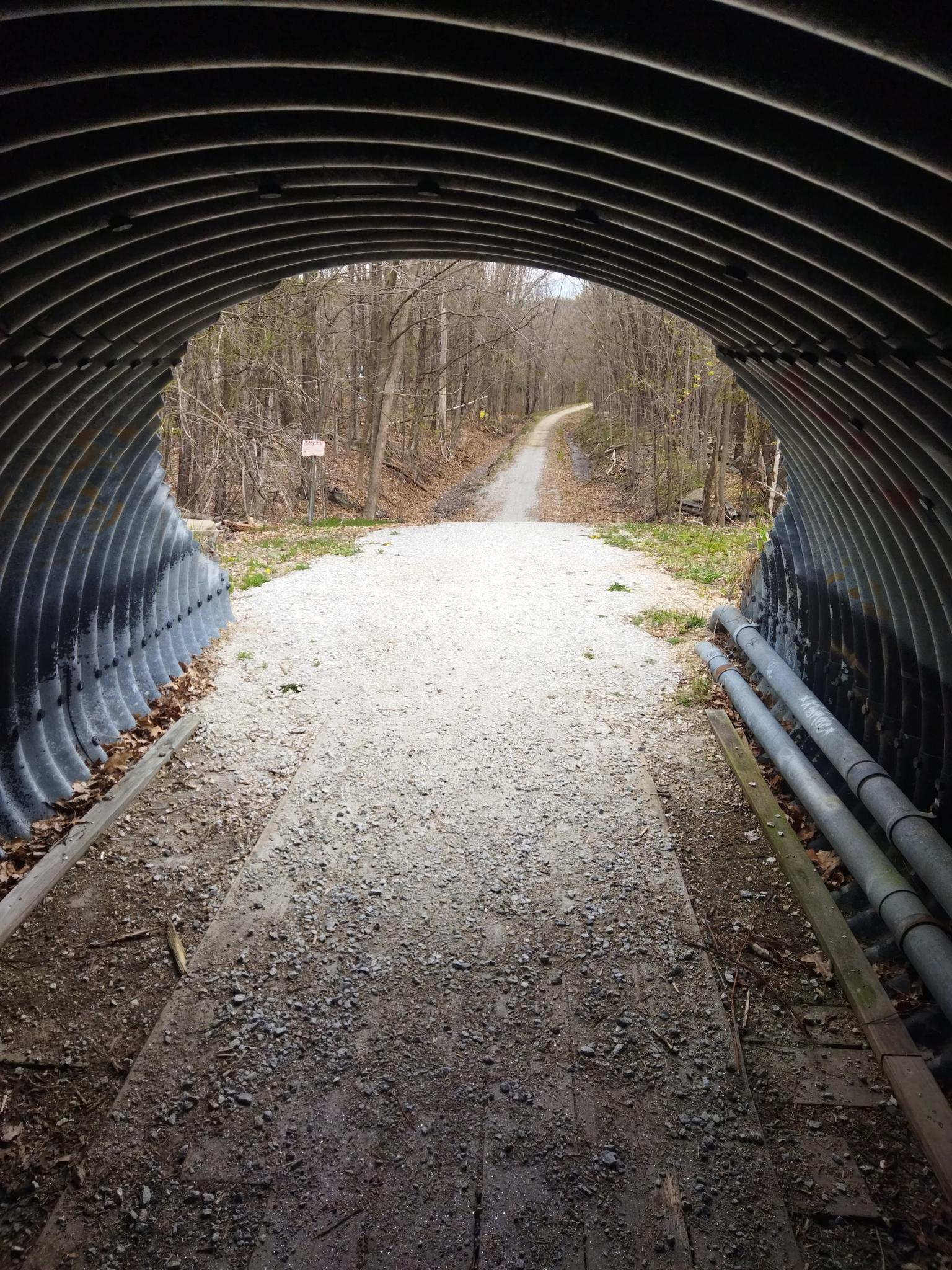 Inside a corrugated metal tunnel, a gravel path exits to a bare forest.