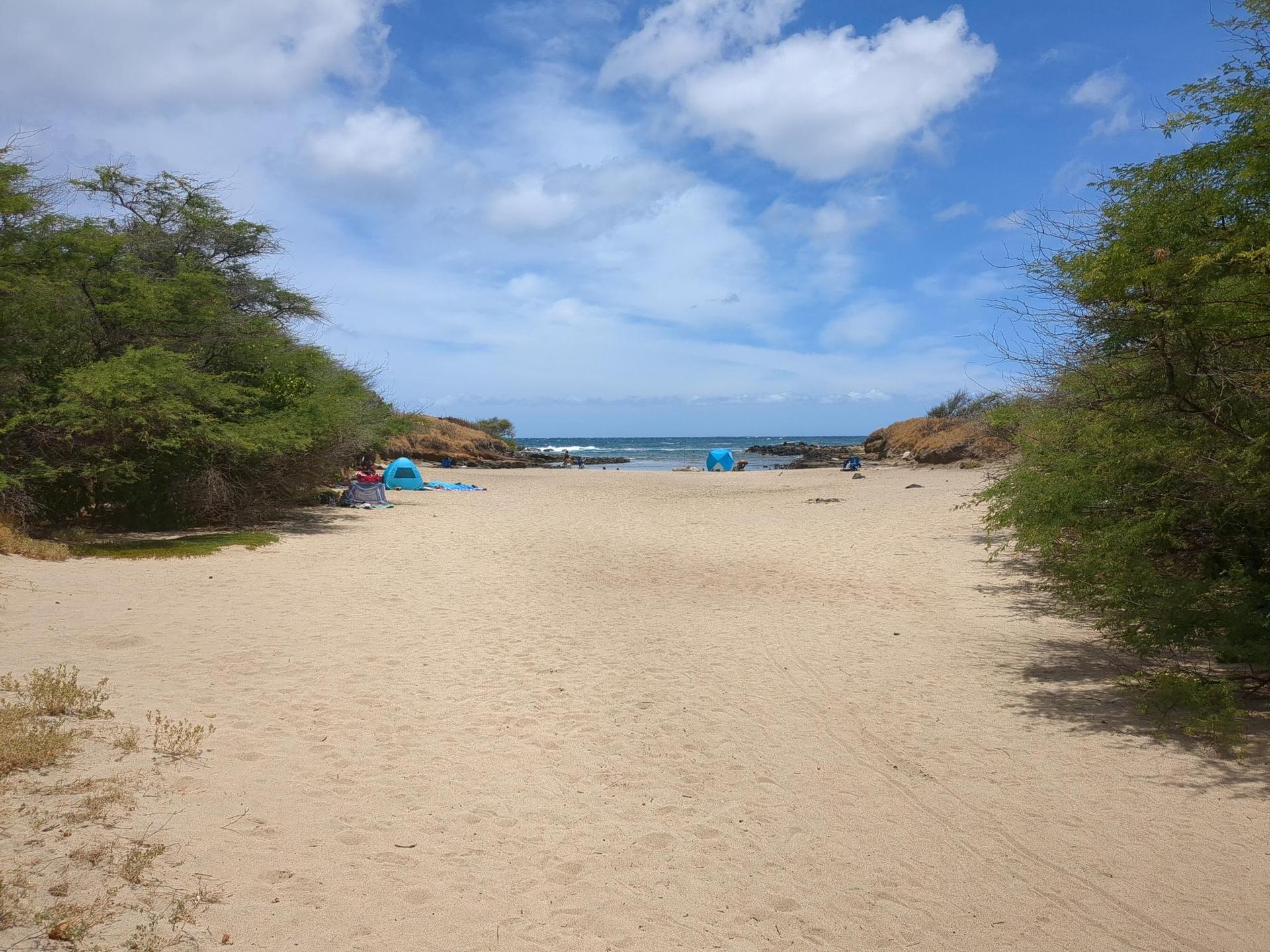 Wide view of a sunny sandy beach with distant ocean and green foliage.