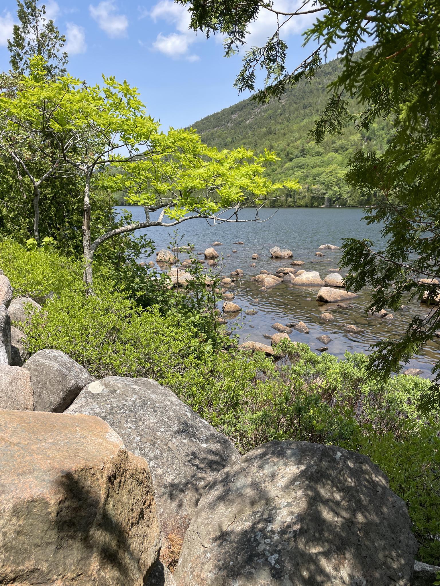 Lake with rocky shore, green trees, and mountain under bright blue sky.