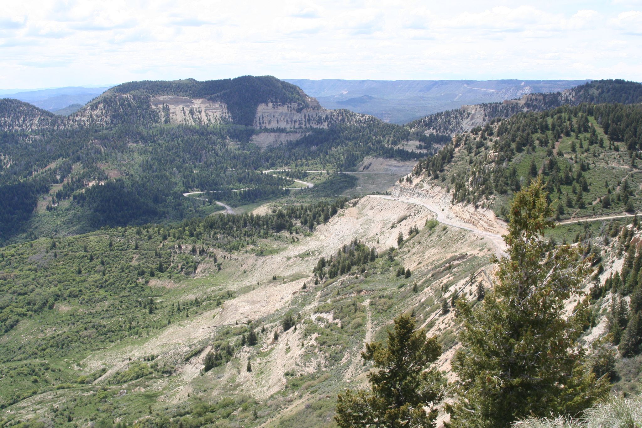 Expansive view of forested mountains and valleys under a bright, cloudy sky. - Douglas Pass Trail