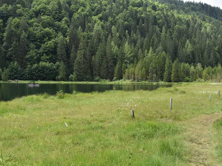 Spechtensee Wanderungen und Rundwege komoot