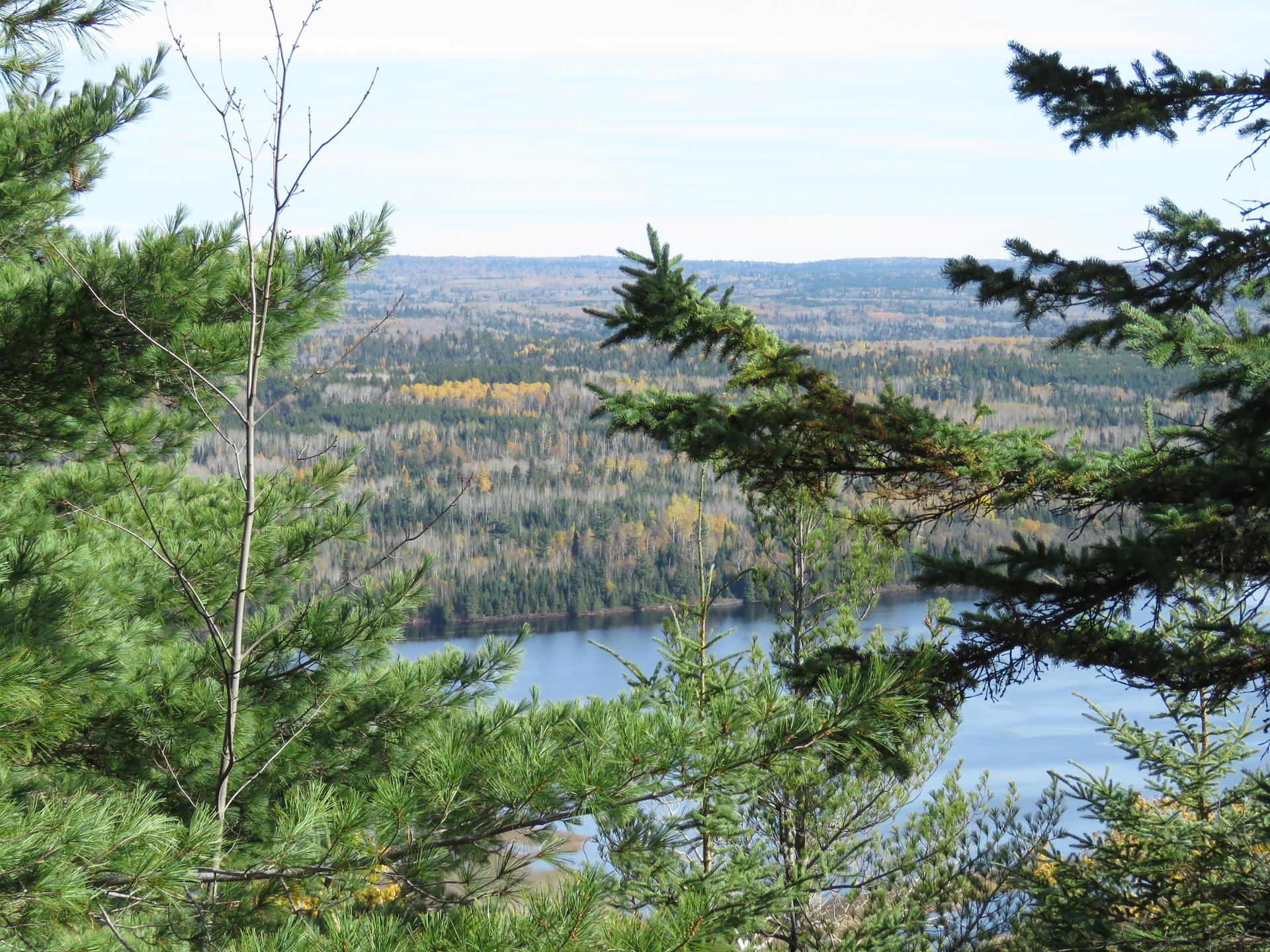 Overlook of a lake and vast forest with autumn colors under bright daylight.