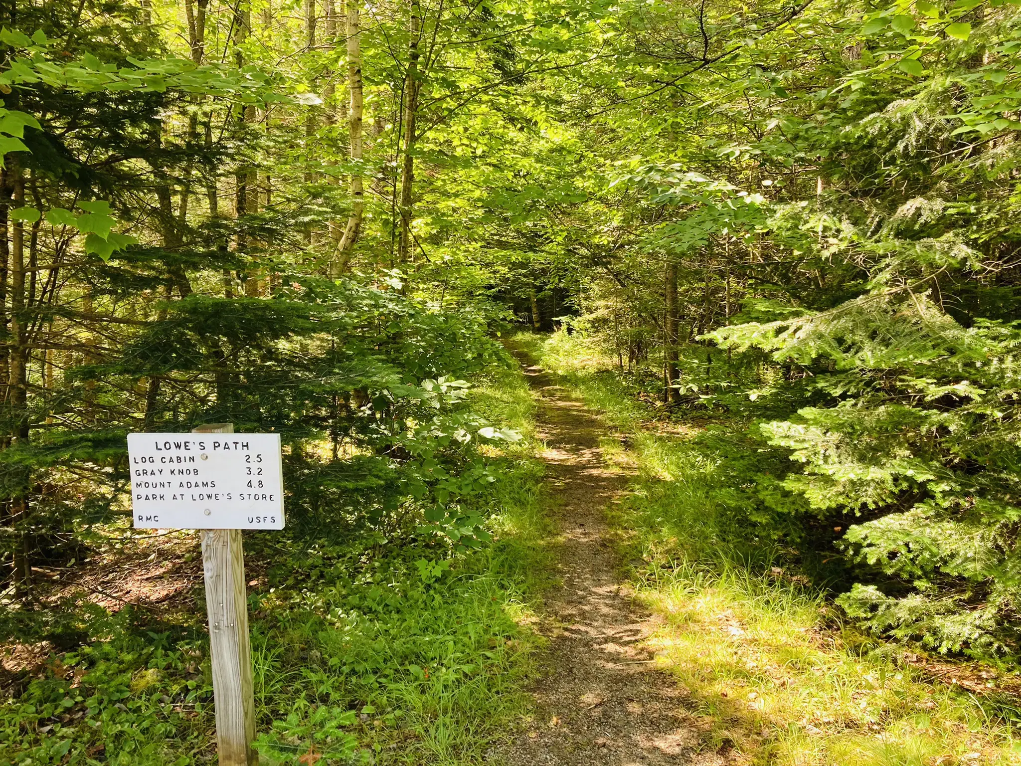 A sunlit forest path with a wooden trail sign indicating various distances.