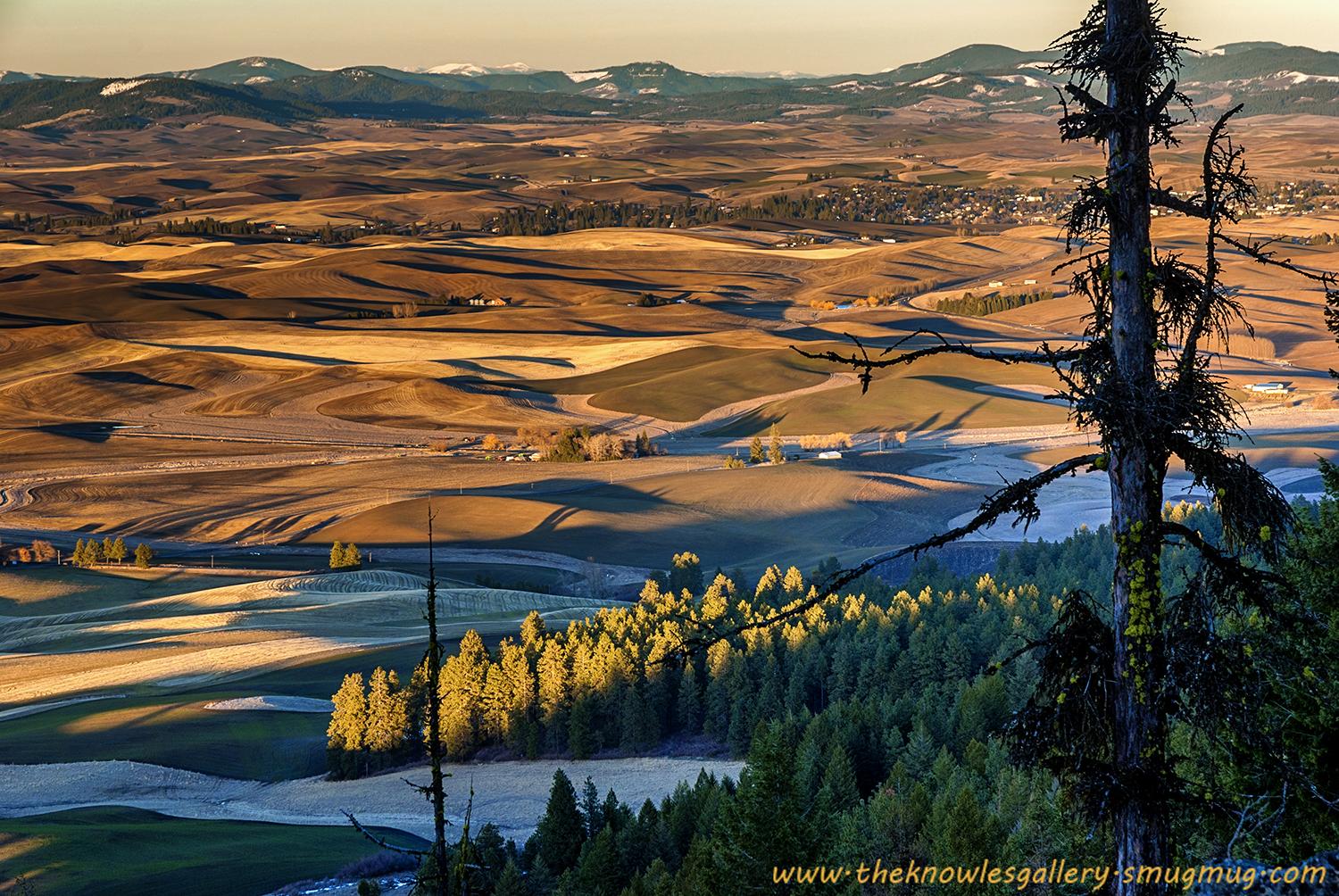 Golden hour light illuminates vast rolling hills, forest, and distant mountains.