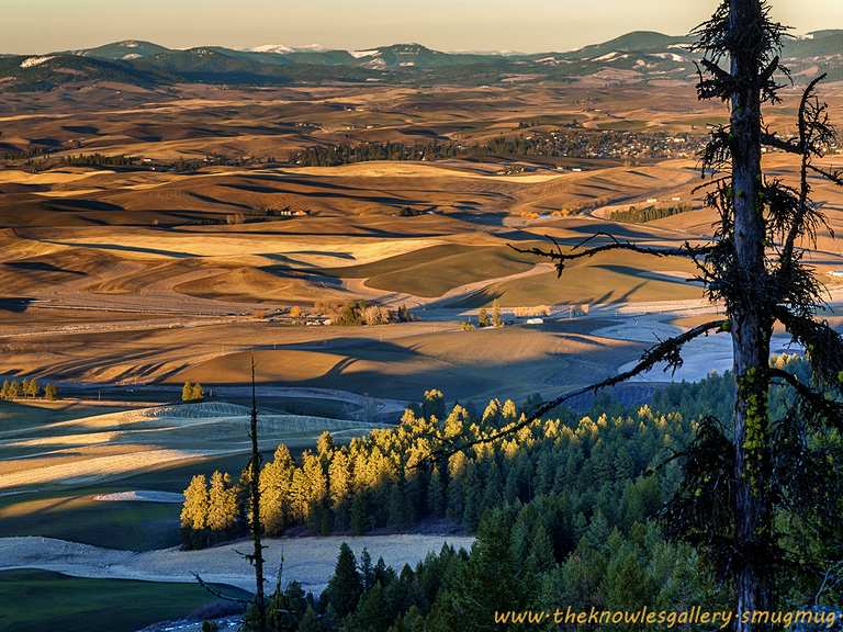 Boucle de Kamiak Butte - Kamiak Butte County Park | randonnée pédestre ...