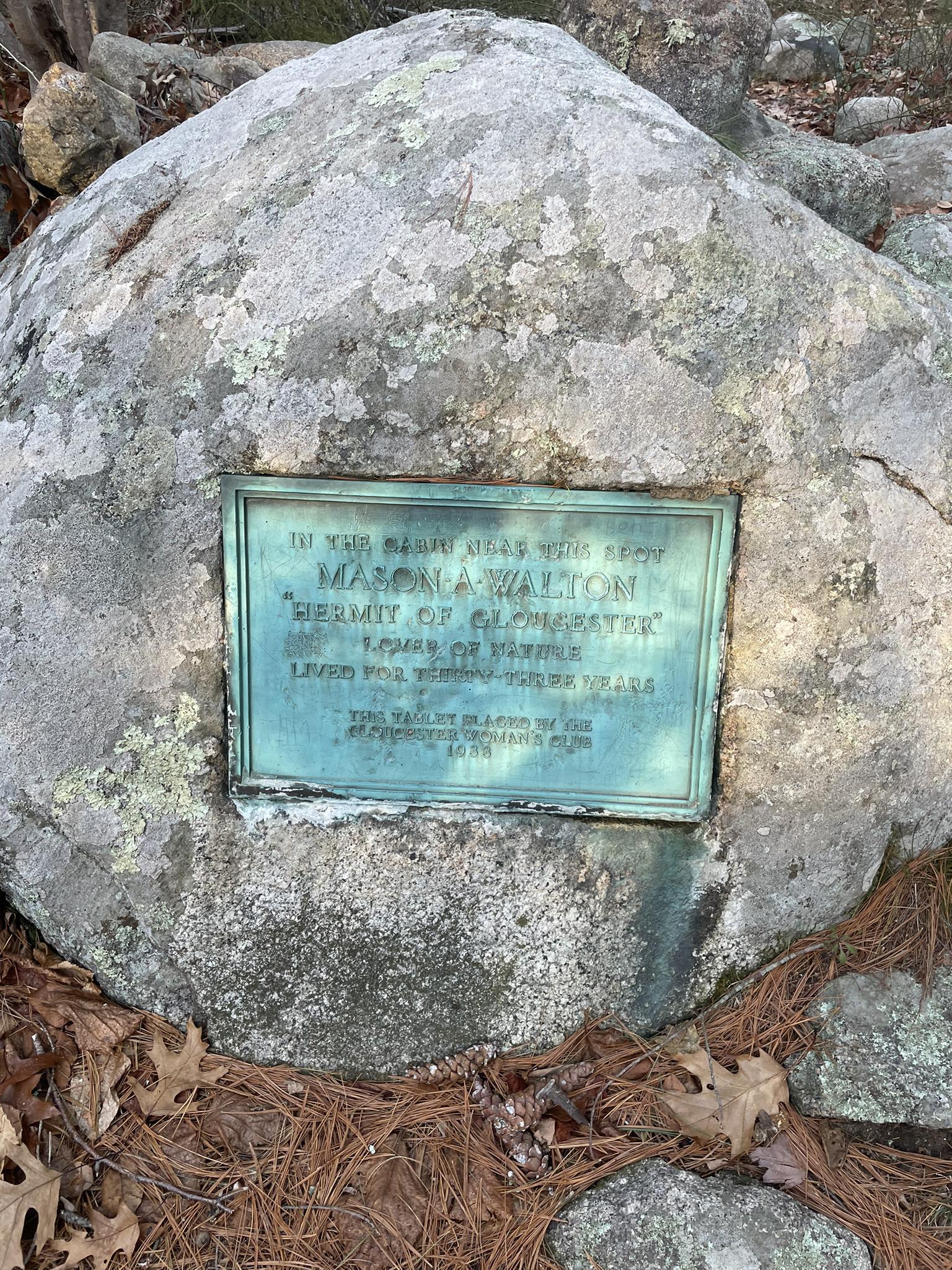 Bronze plaque on a large, lichen-covered boulder surrounded by forest debris.