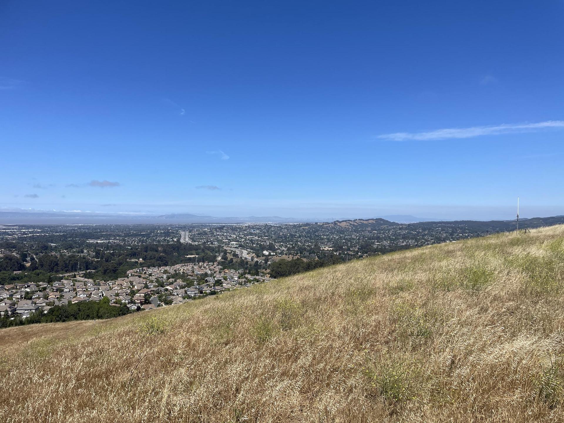 Dry, golden grass on a hillside overlooking a sprawling city under a clear sky.