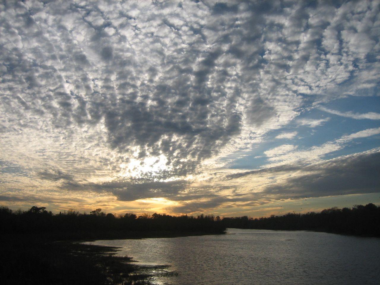 Dramatic sunset over water with patterned clouds and silhouetted trees.